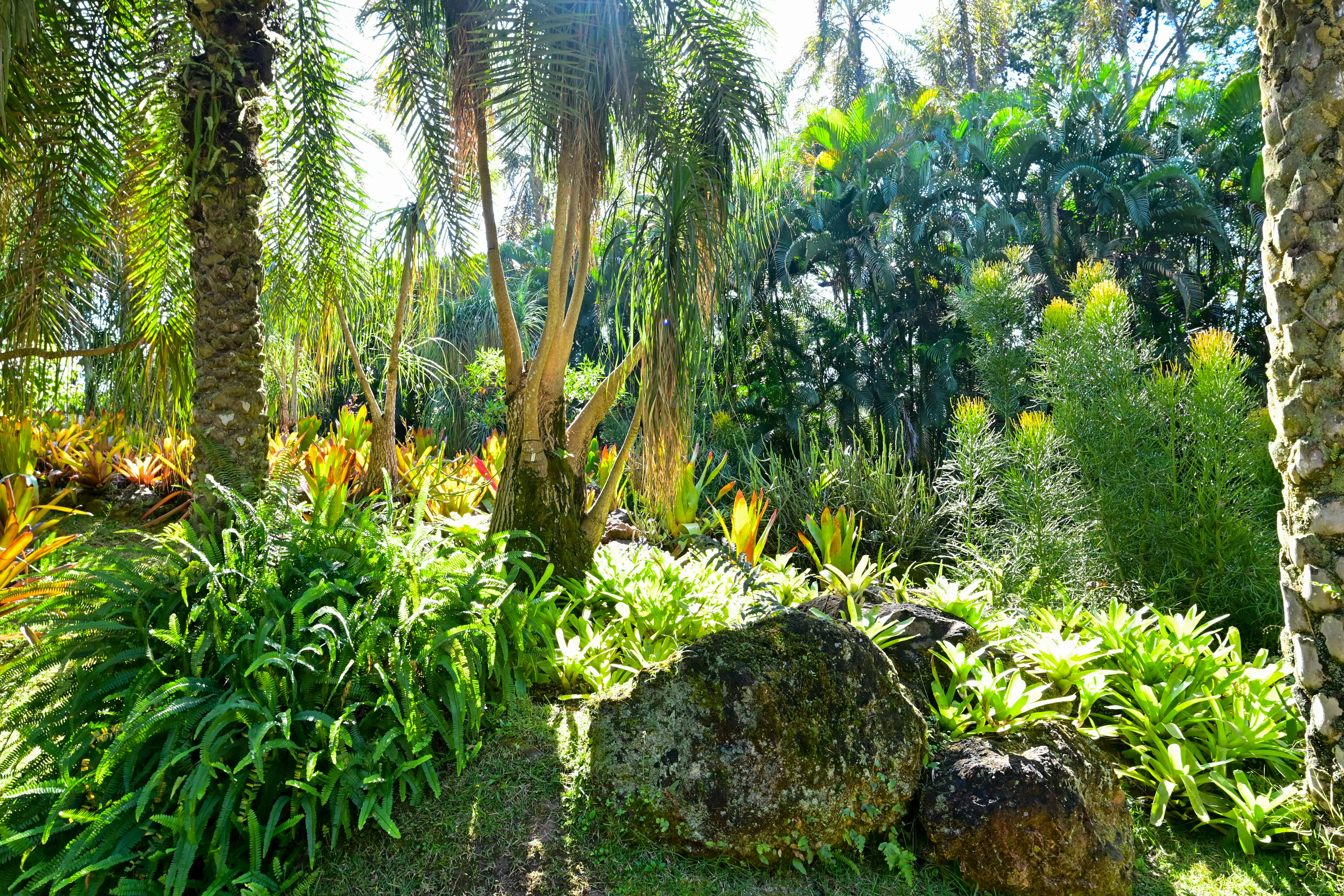 Botanical garden landscape