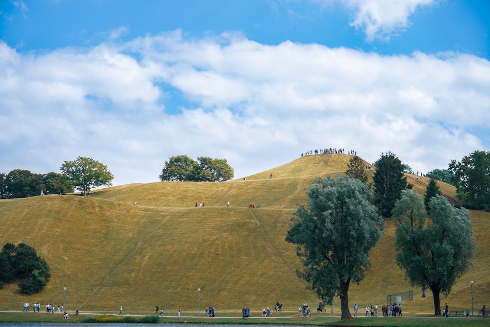 a group of people standing on top of a lush green hillside