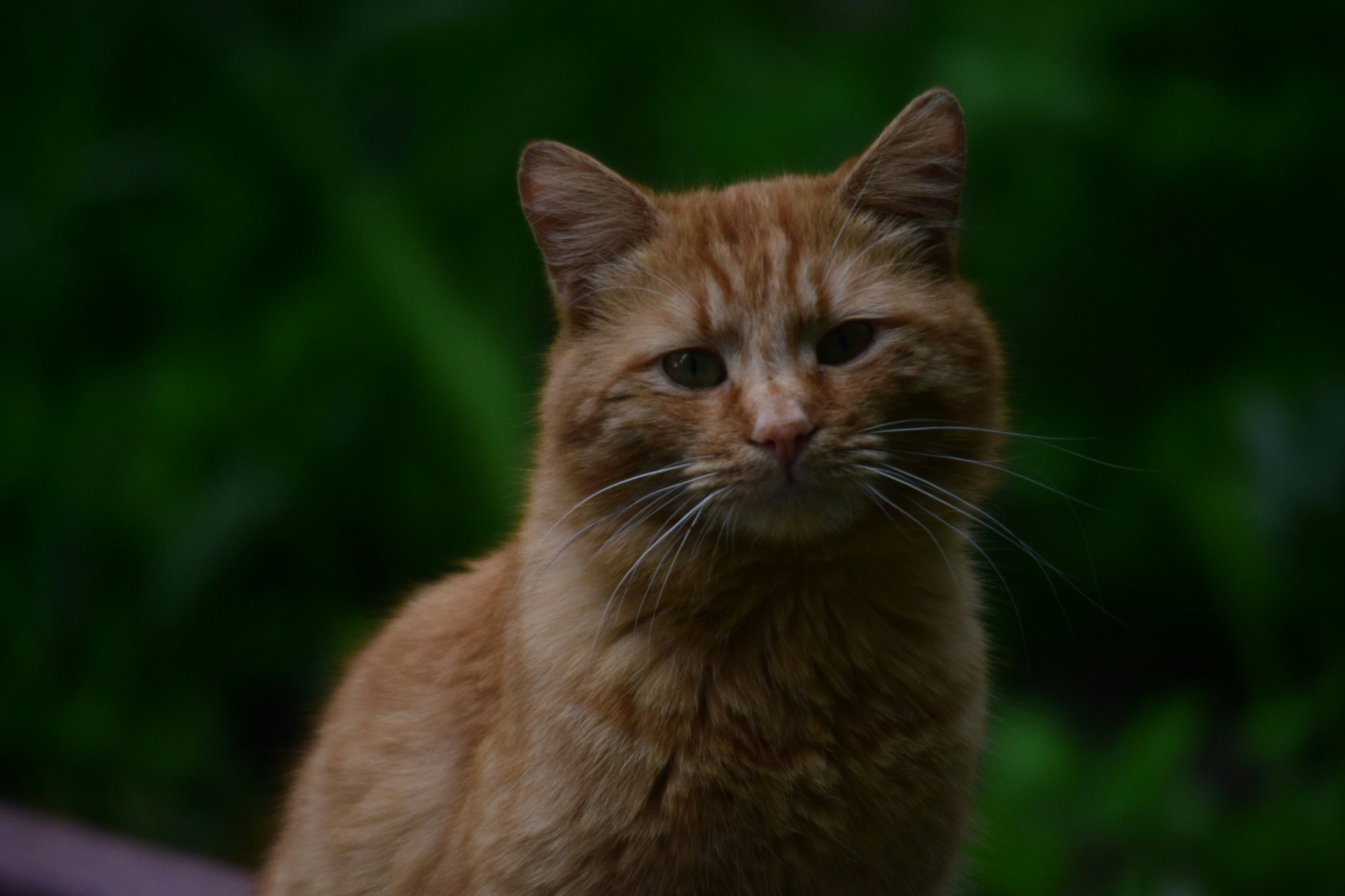 Photo by anna_flowers