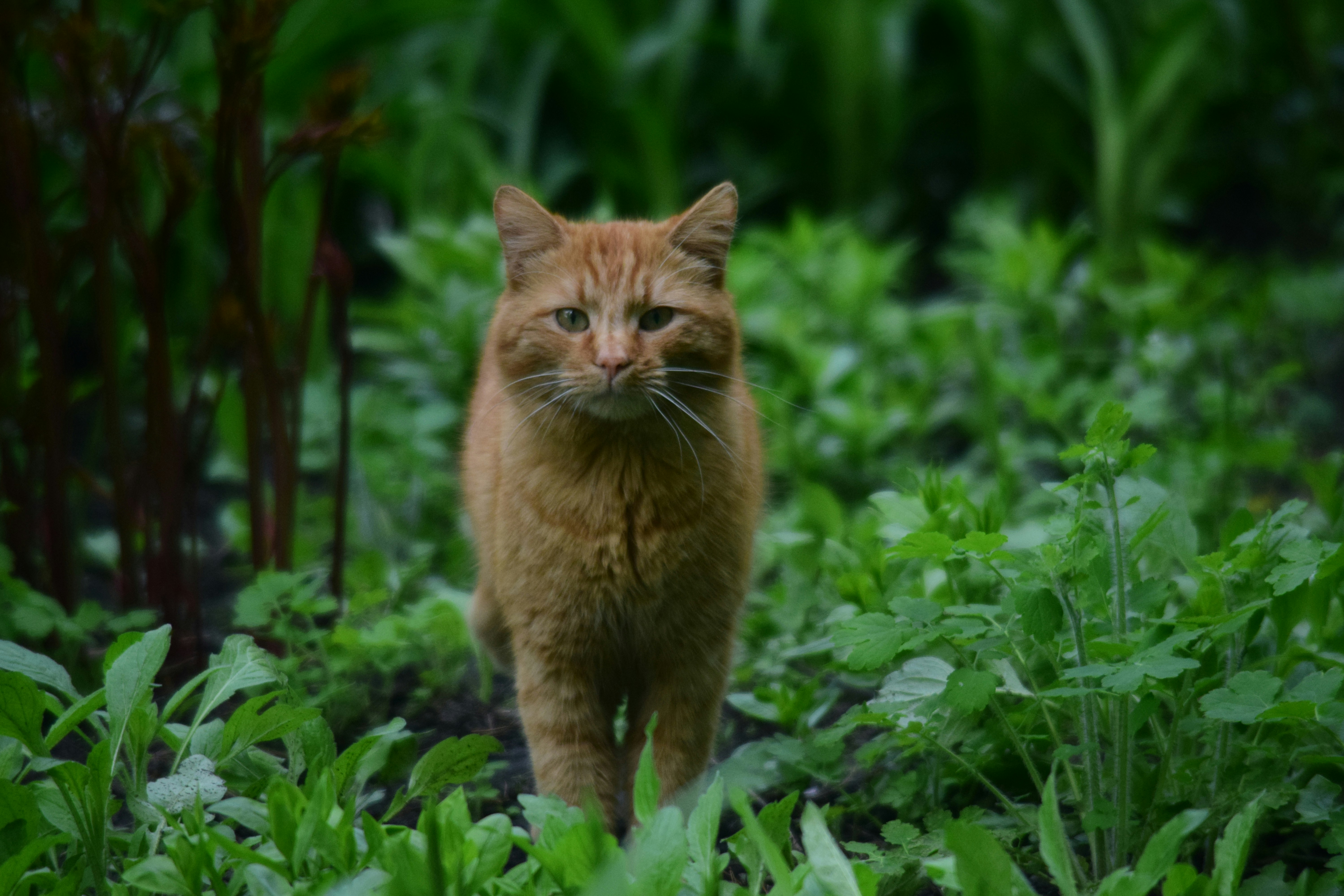 Photo by anna_flowers