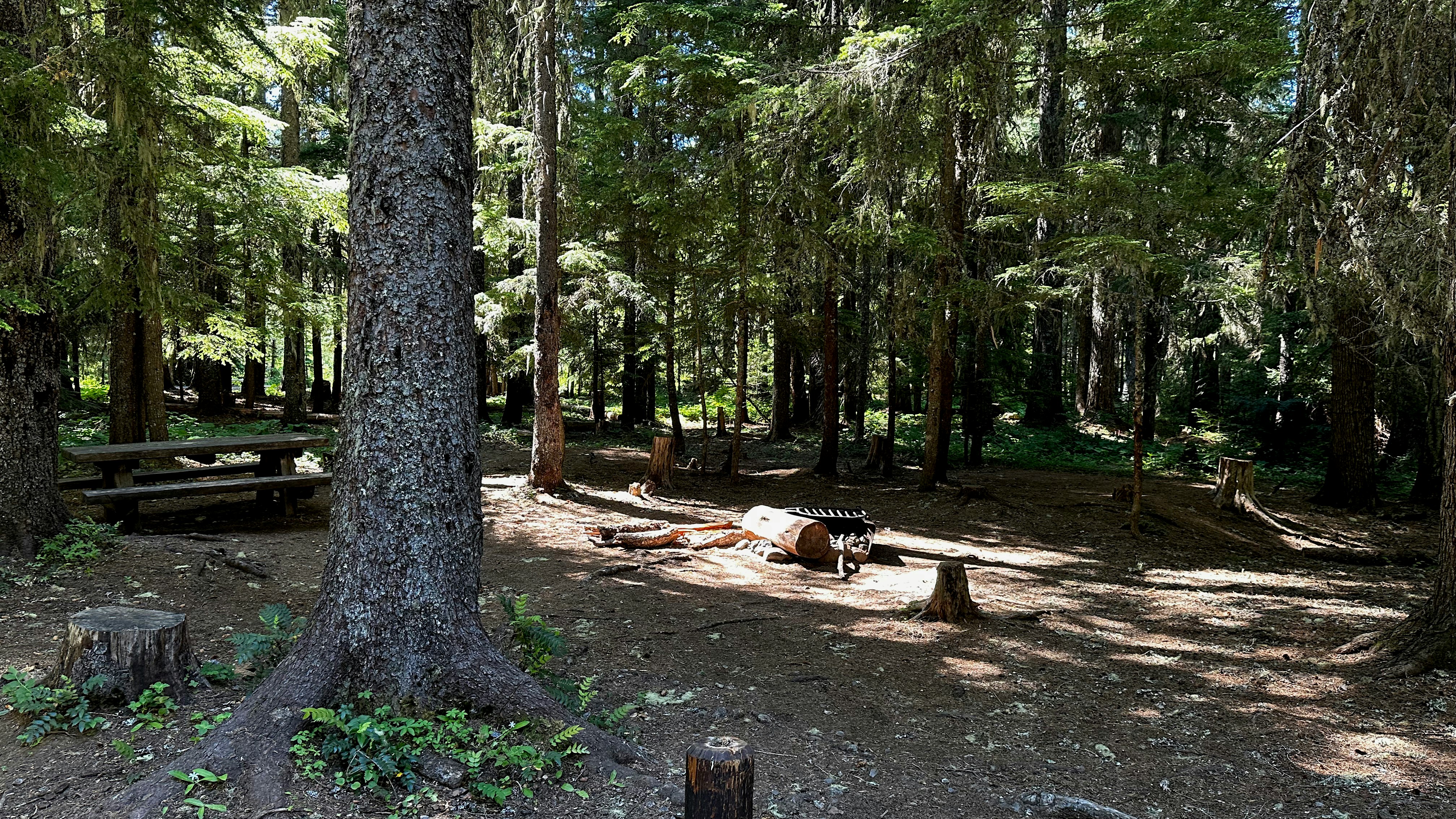 Topsy Recreation Site
