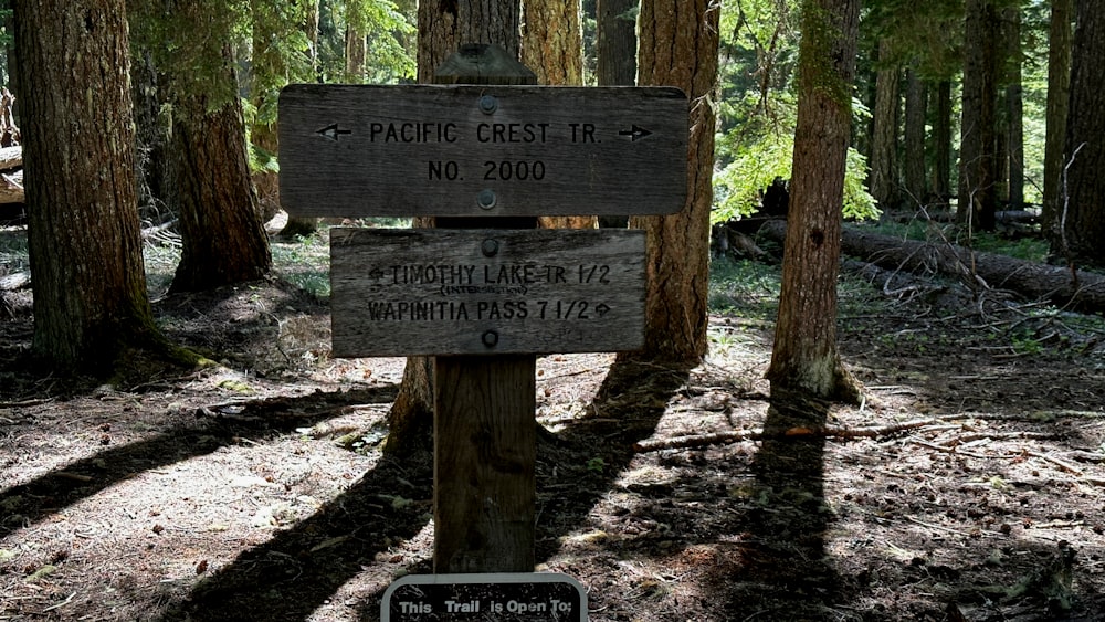 a wooden sign in the middle of a forest