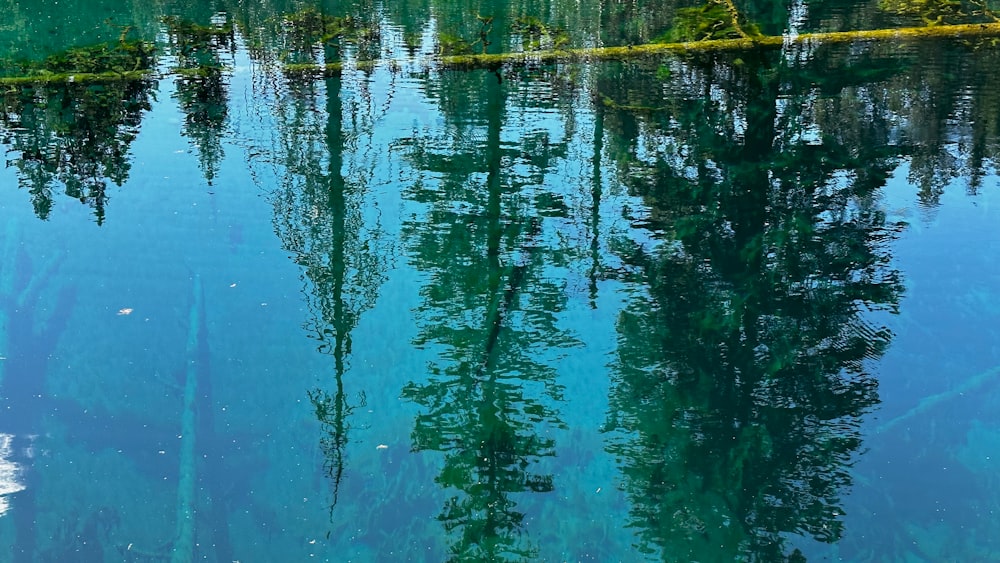 the reflection of trees in the water of a lake