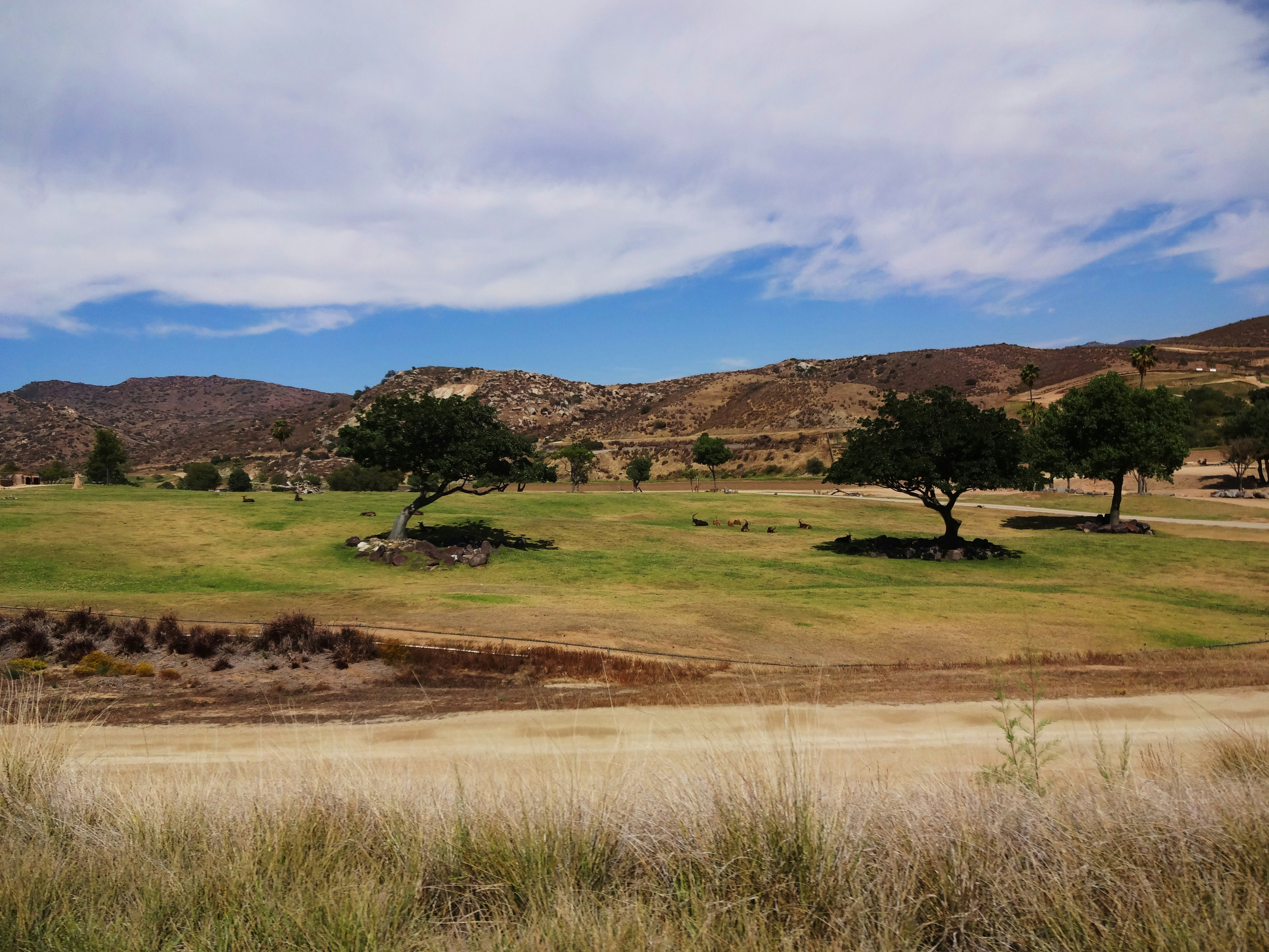 Photo by freespiritus