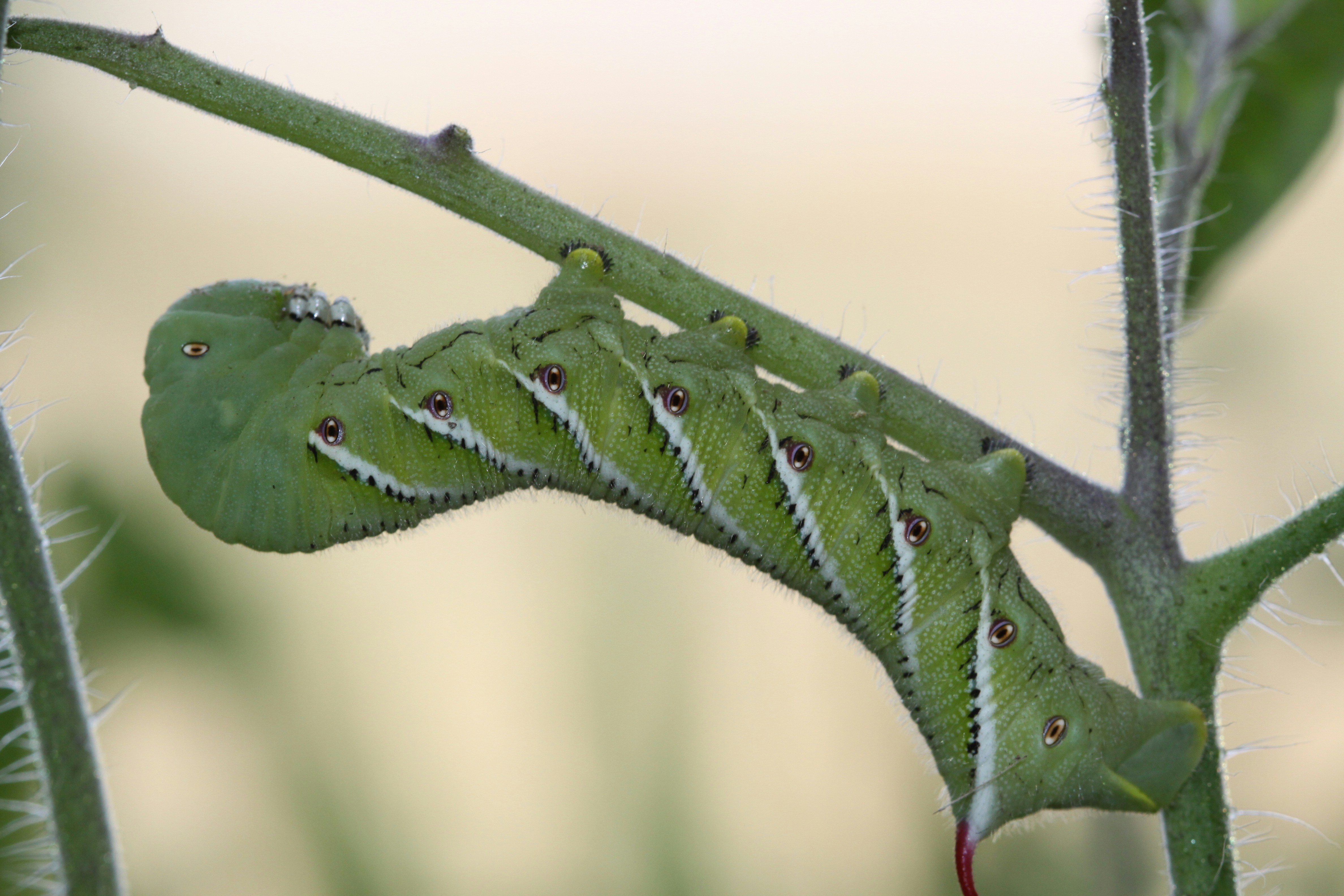 Photo by freespiritus