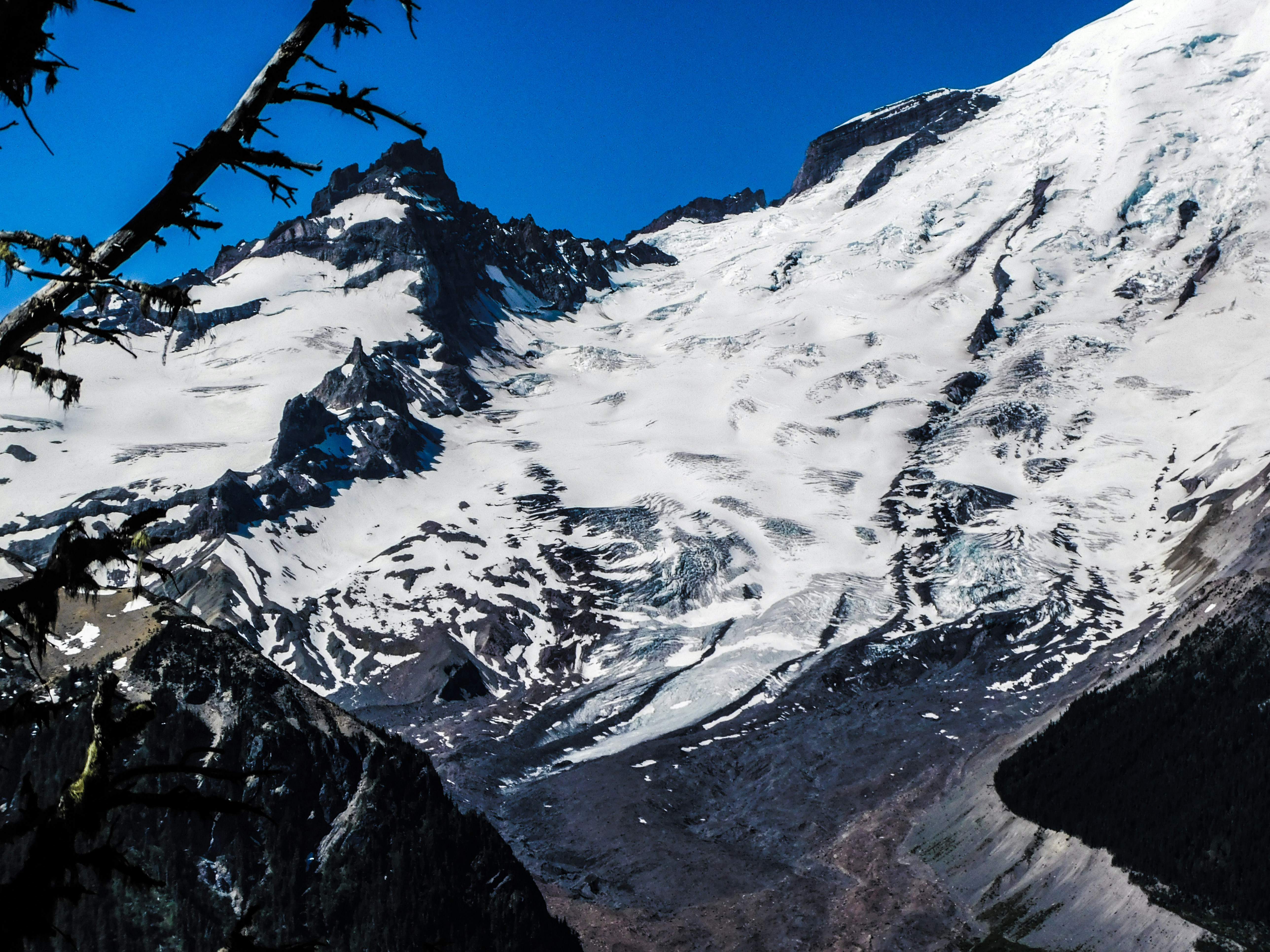 Photo by prphotography262