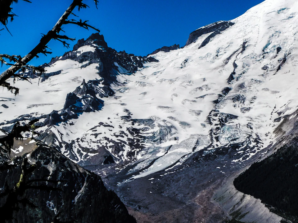 The image depicts a majestic mountain range under a clear blue sky. The mountains, covered in snow and ice, rise majestically towards the horizon. A small stream winds its way down one side of the mountainside, adding a touch of green to the otherwise monochrome landscape. In the foreground, there is a tree with branches reaching out into the frame, providing a sense of scale and depth to the scene. The image does not contain any discernible text or countable objects, making it an open invitation for viewers to imagine the story behind this breathtaking natural spectacle.