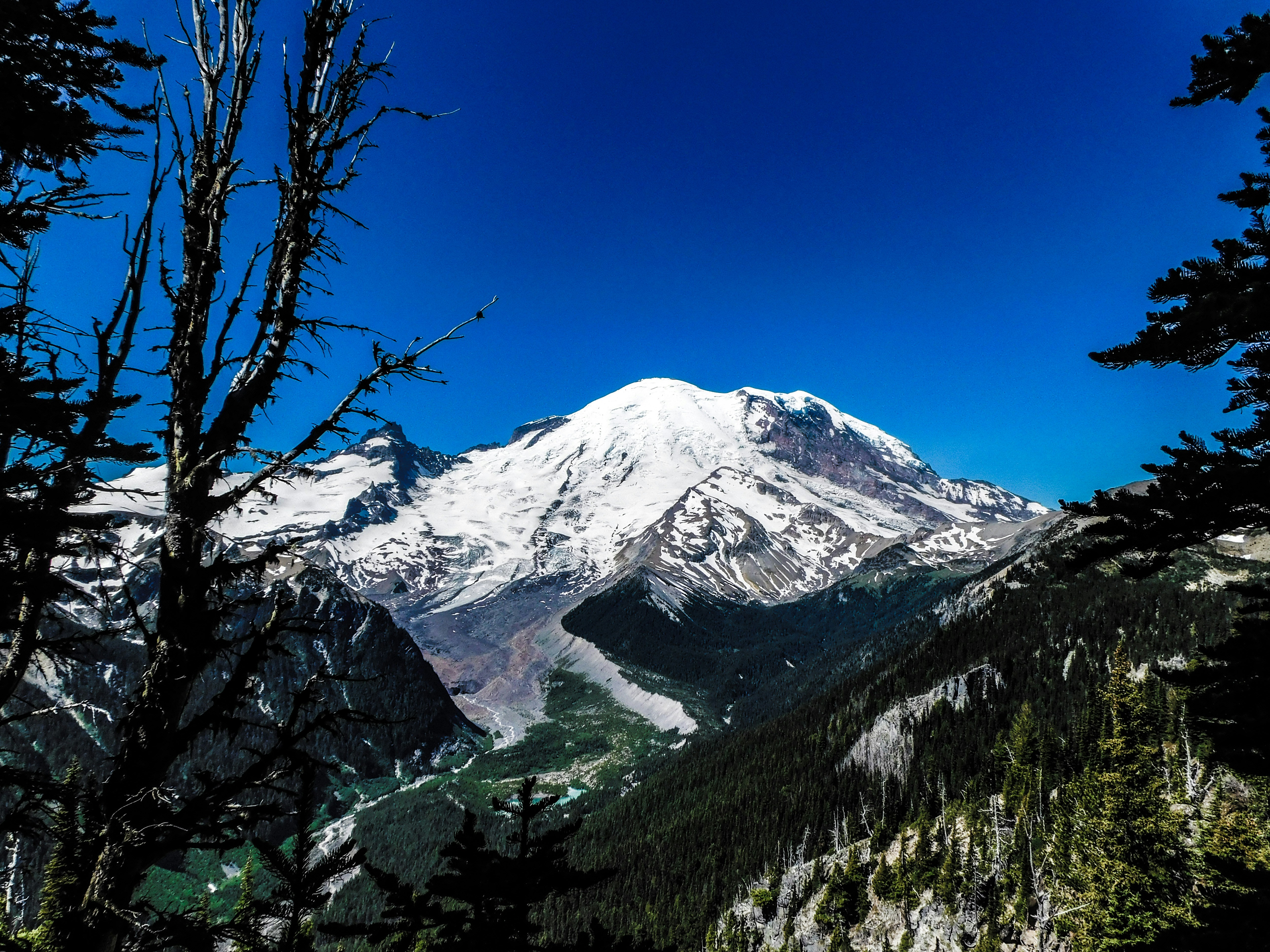 Photo by prphotography262