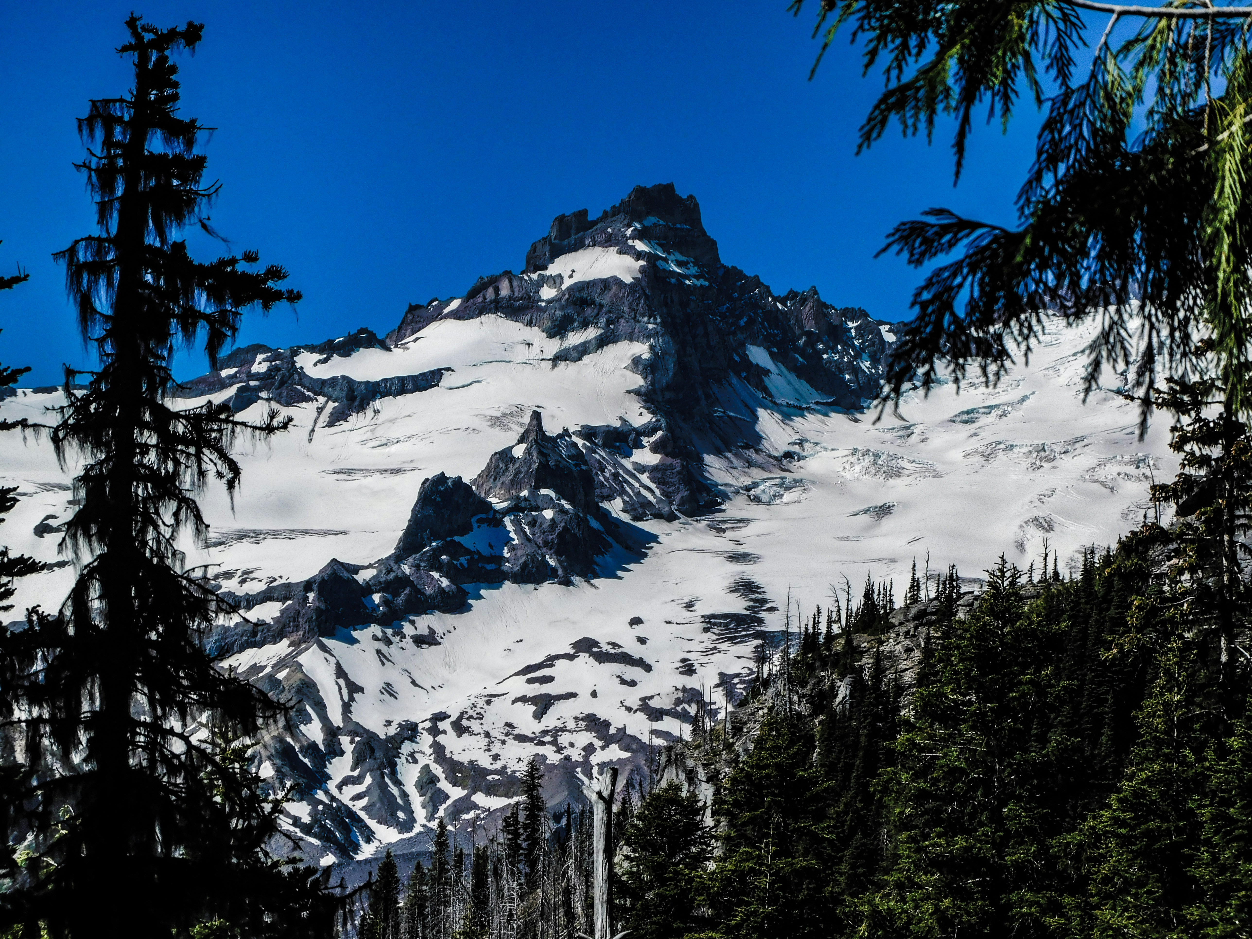 Photo by prphotography262