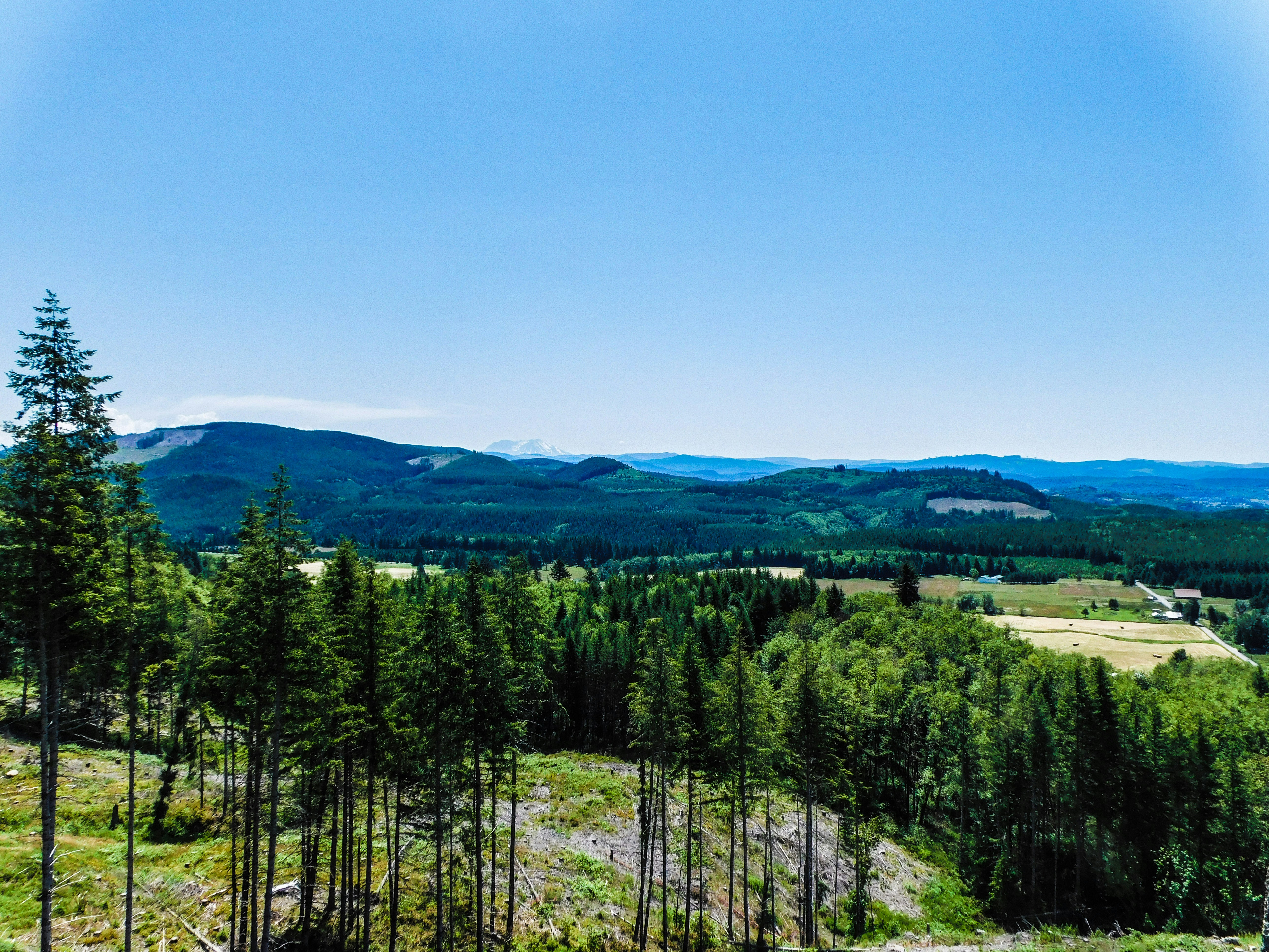 Photo by prphotography262