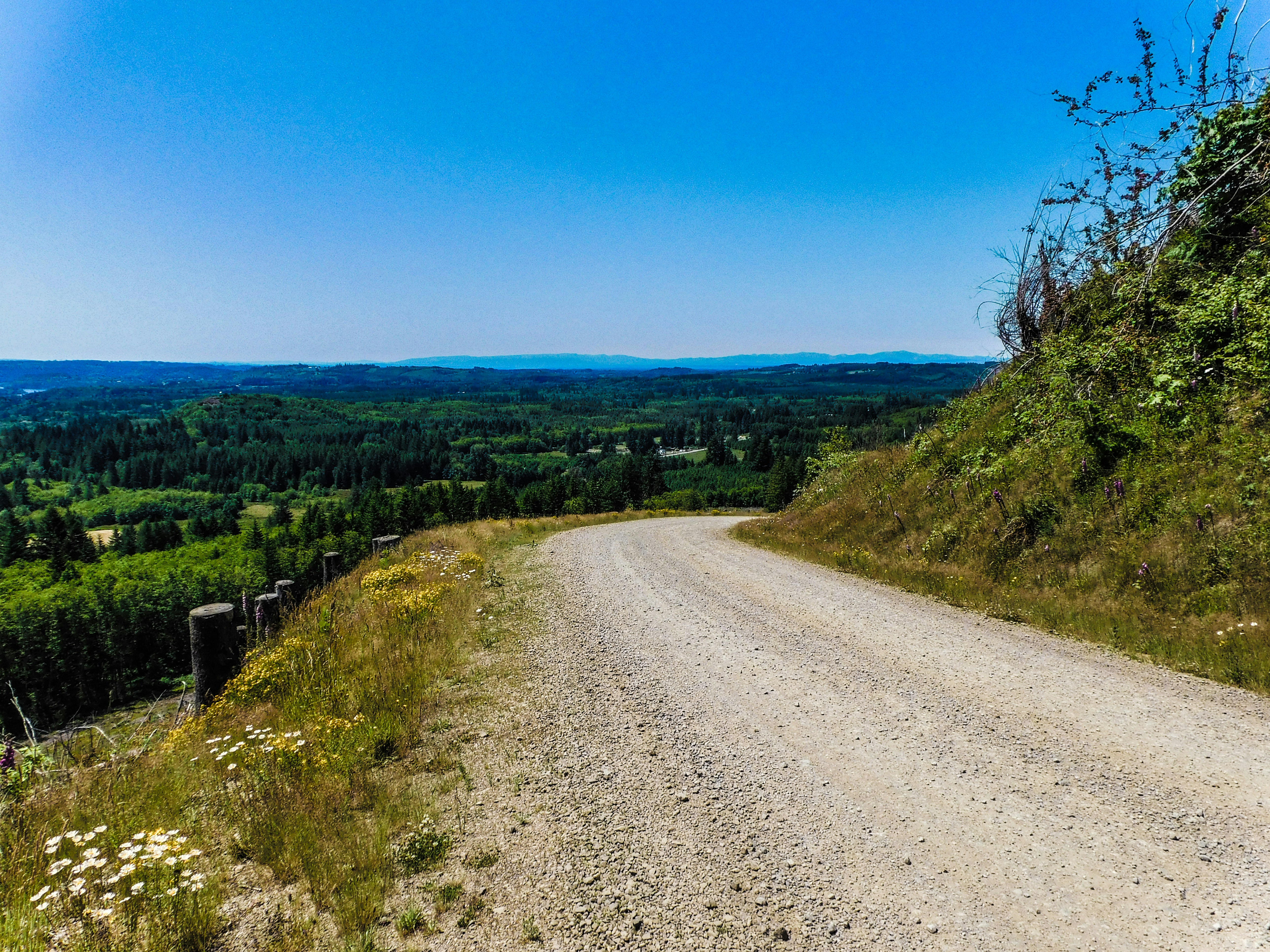 Photo by prphotography262