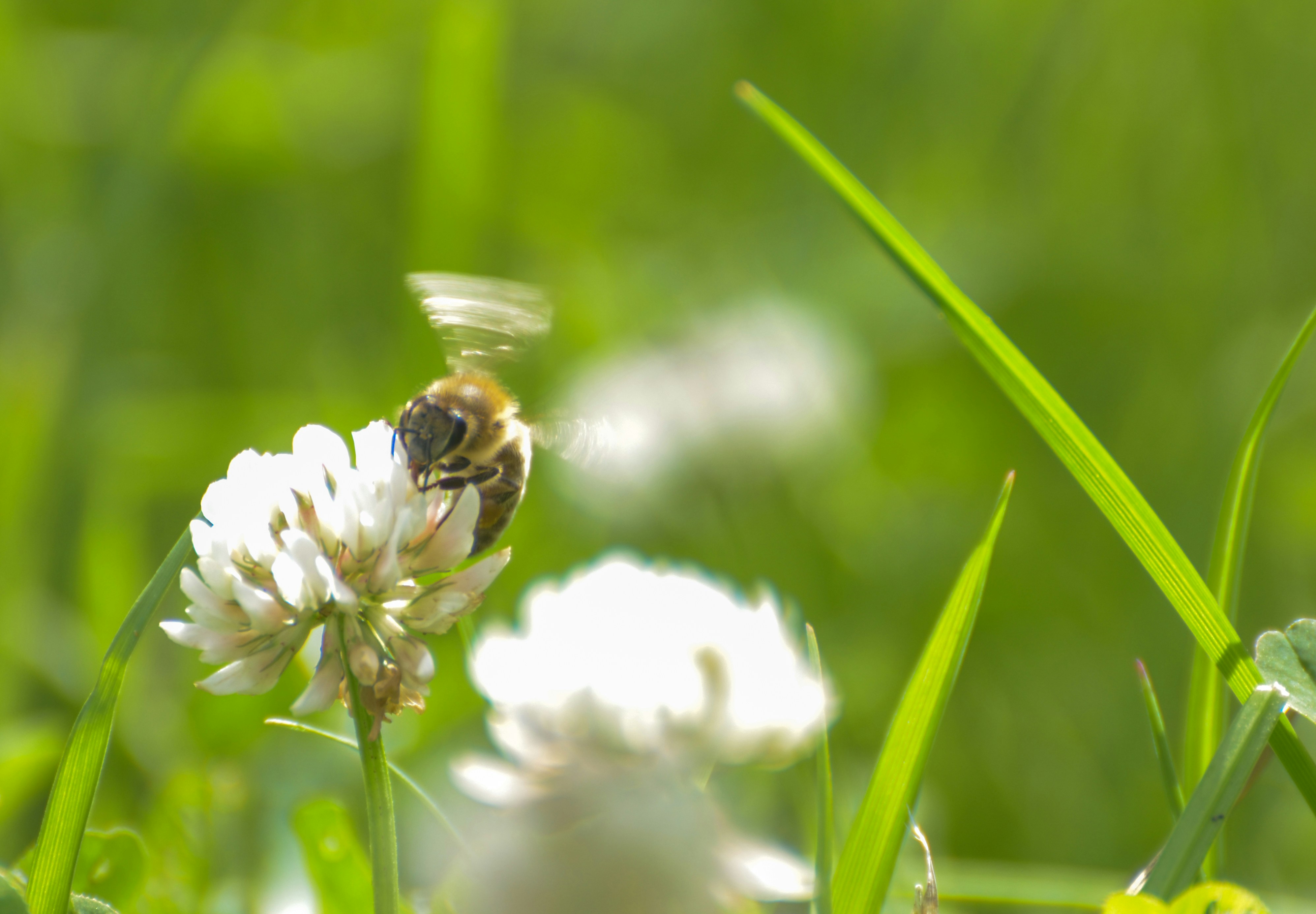 Photo by sergeybuharev