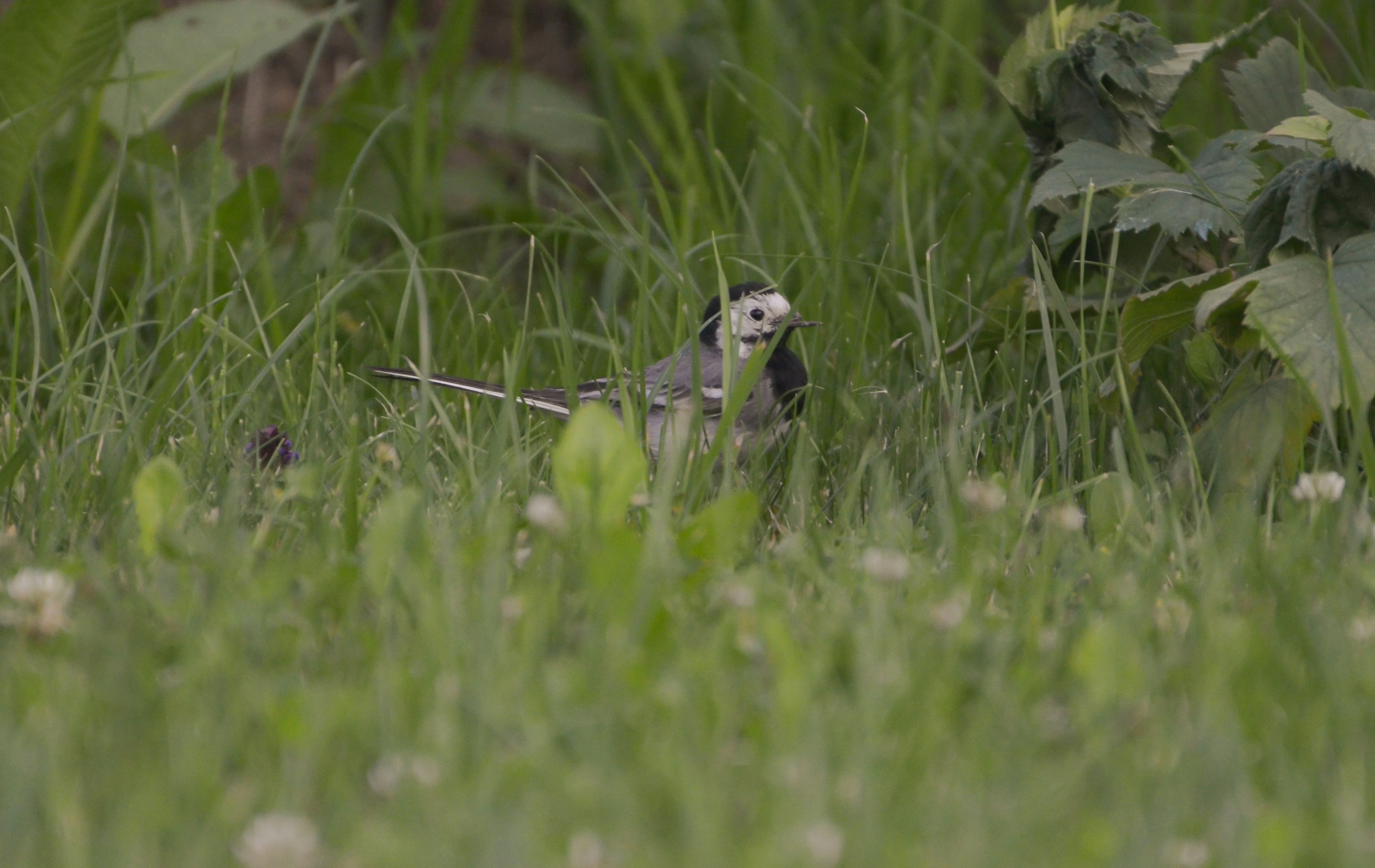 Photo by sergeybuharev