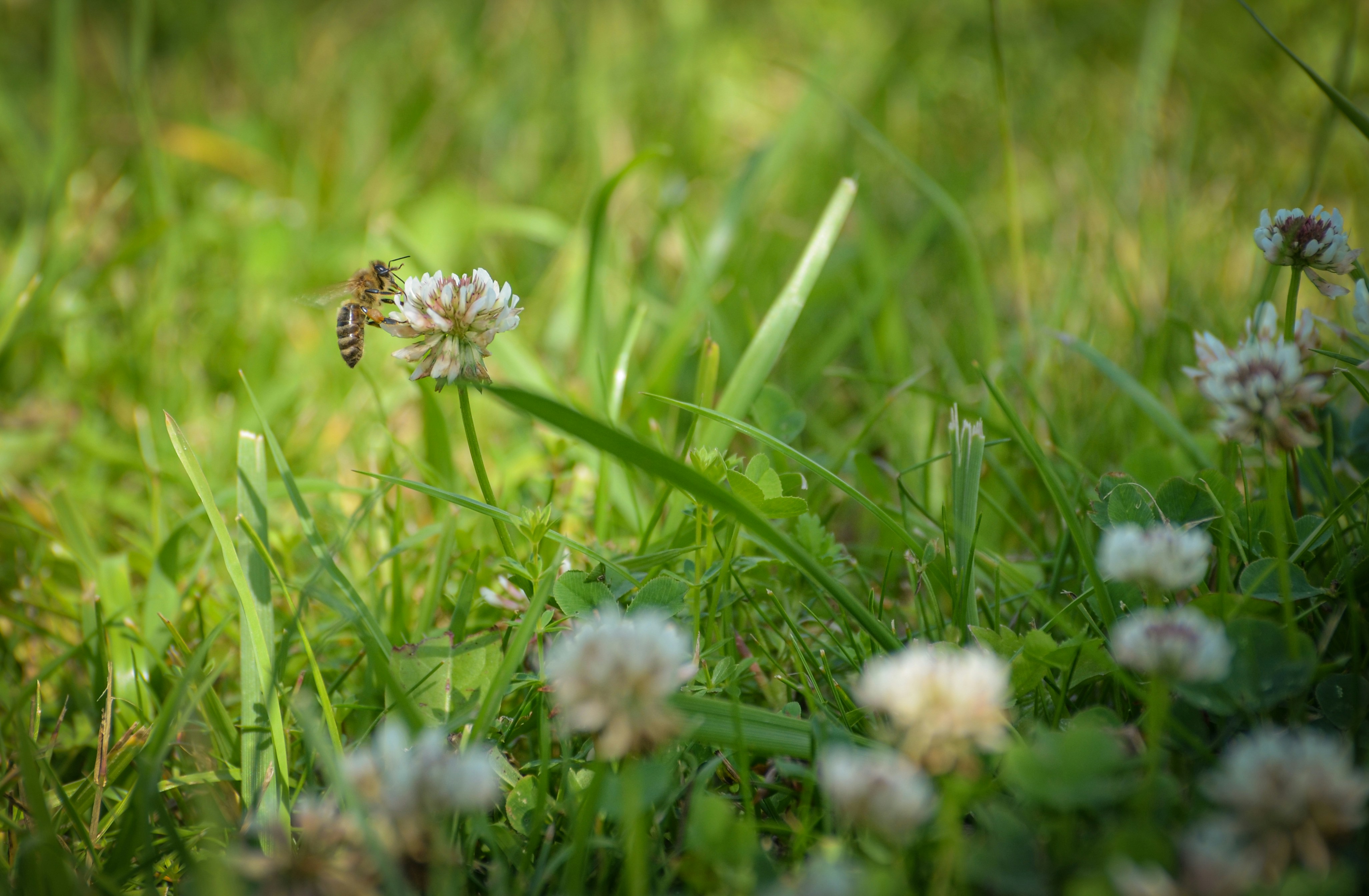 Photo by sergeybuharev