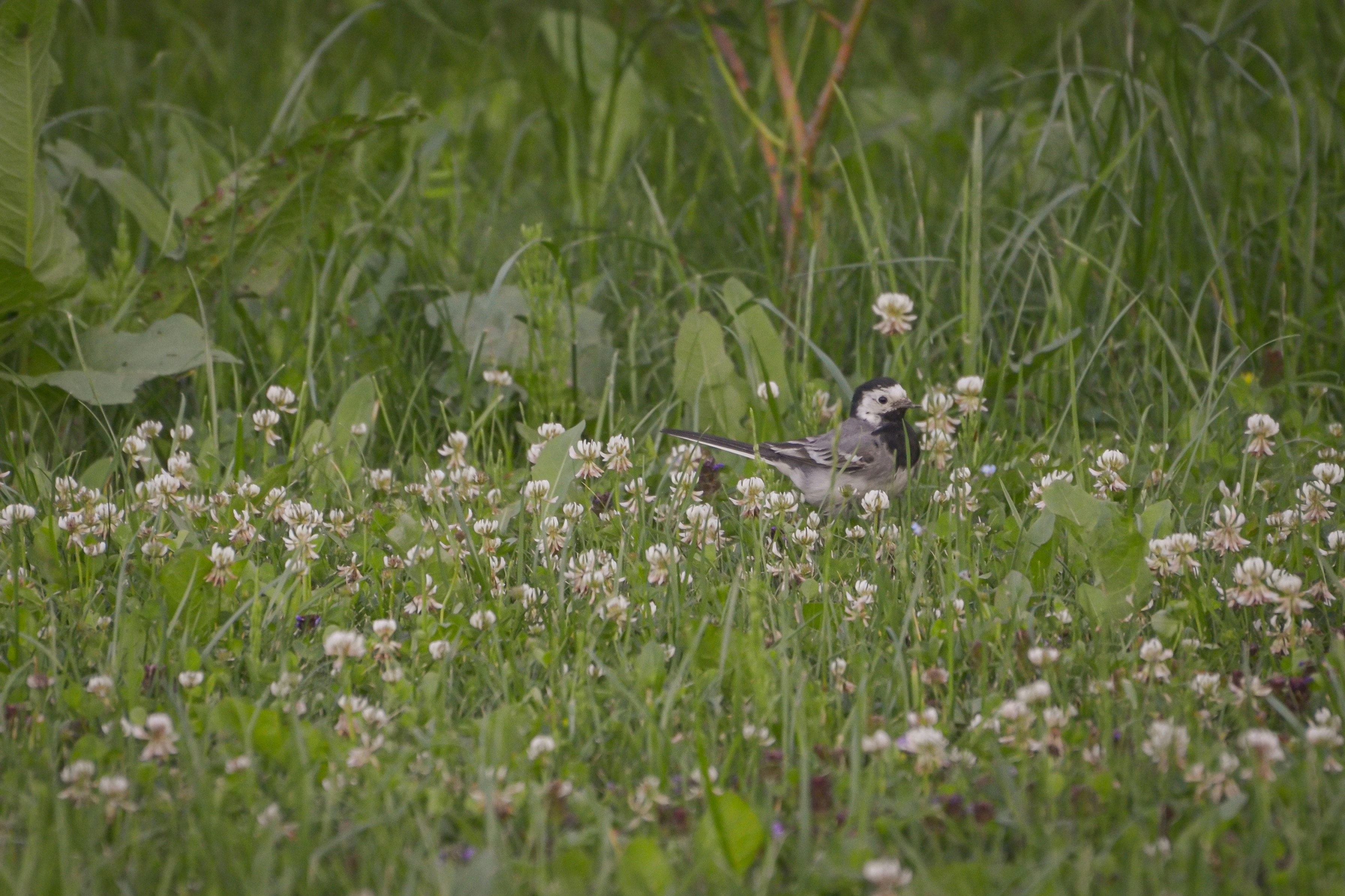 Photo by sergeybuharev