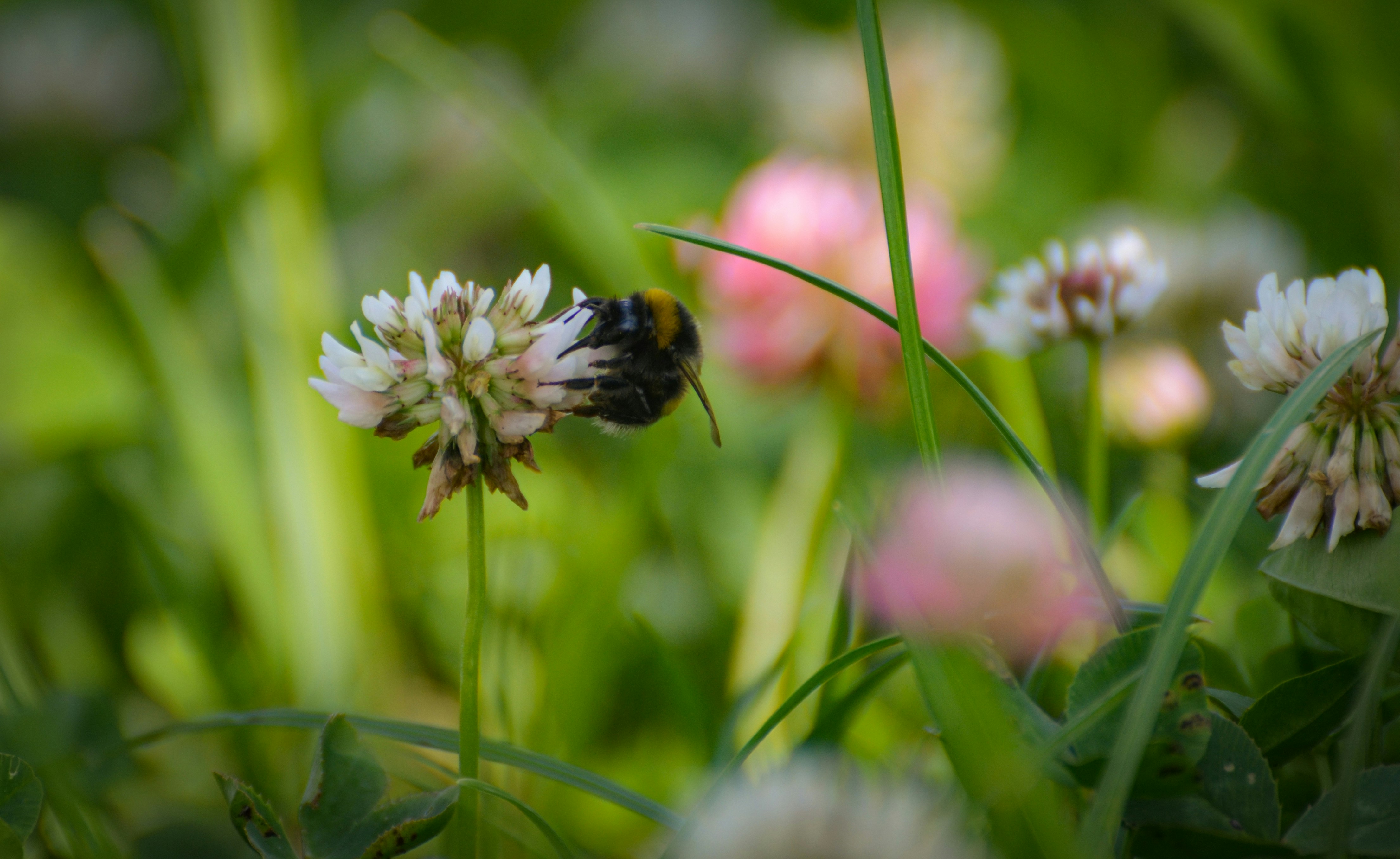 Photo by sergeybuharev