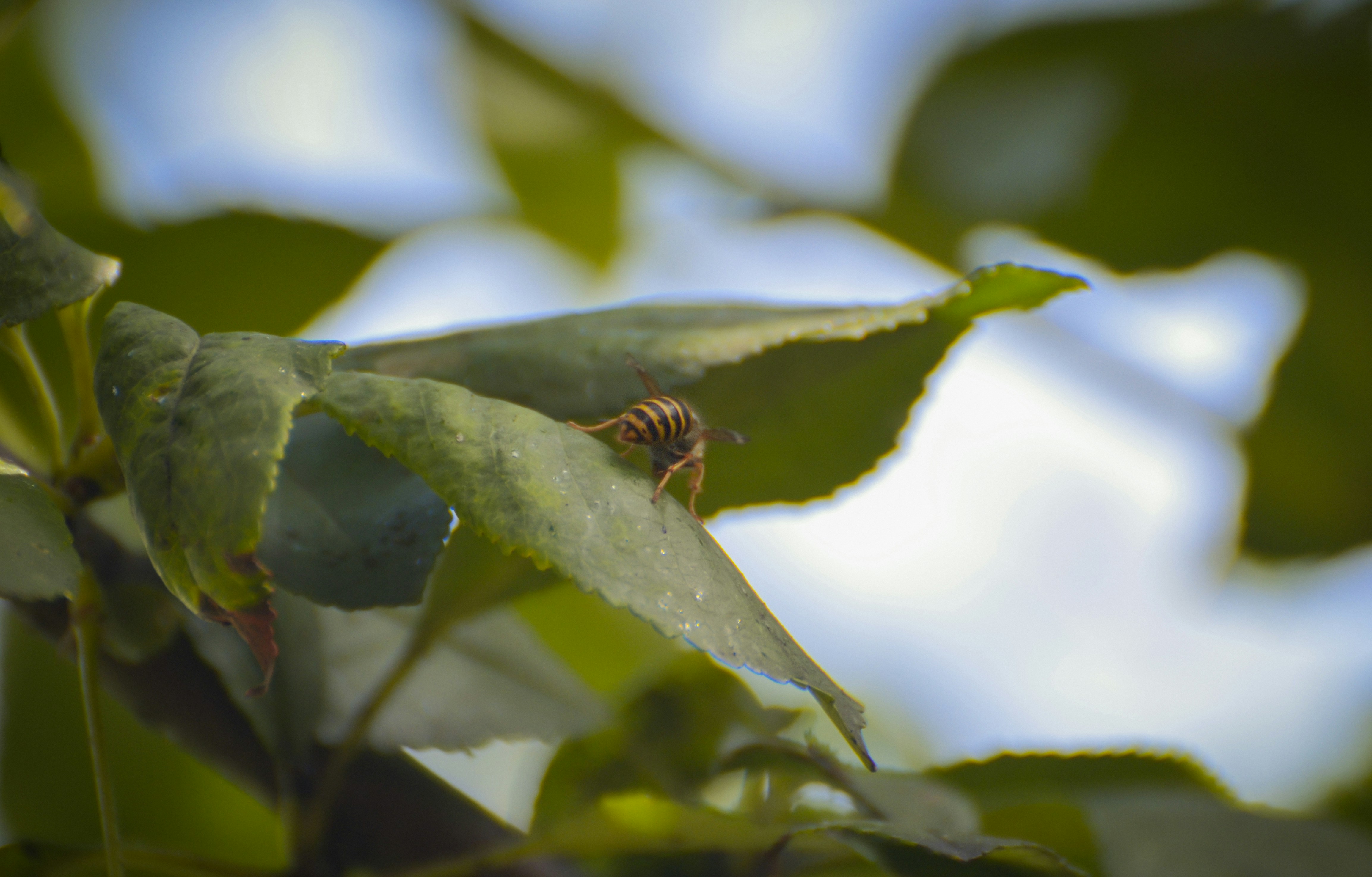 Photo by sergeybuharev