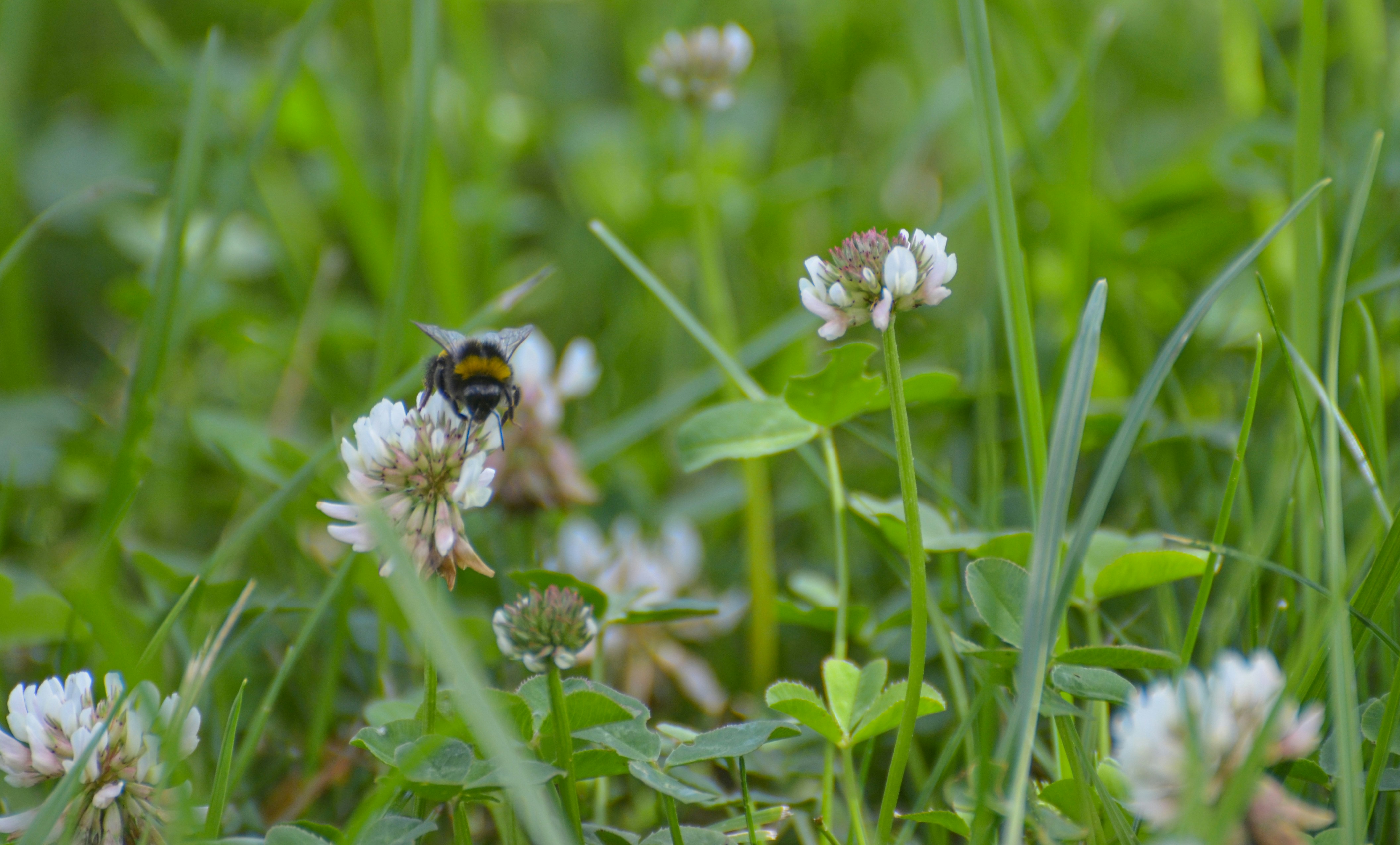 Photo by sergeybuharev