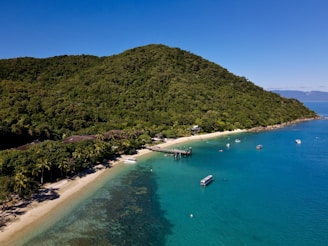 A lush, green hillside towering over a sandy beach with turquoise waters. Several boats float gently near the shore, and a wooden dock extends into the water. The beach is flanked by palm trees, adding a tropical vibe.