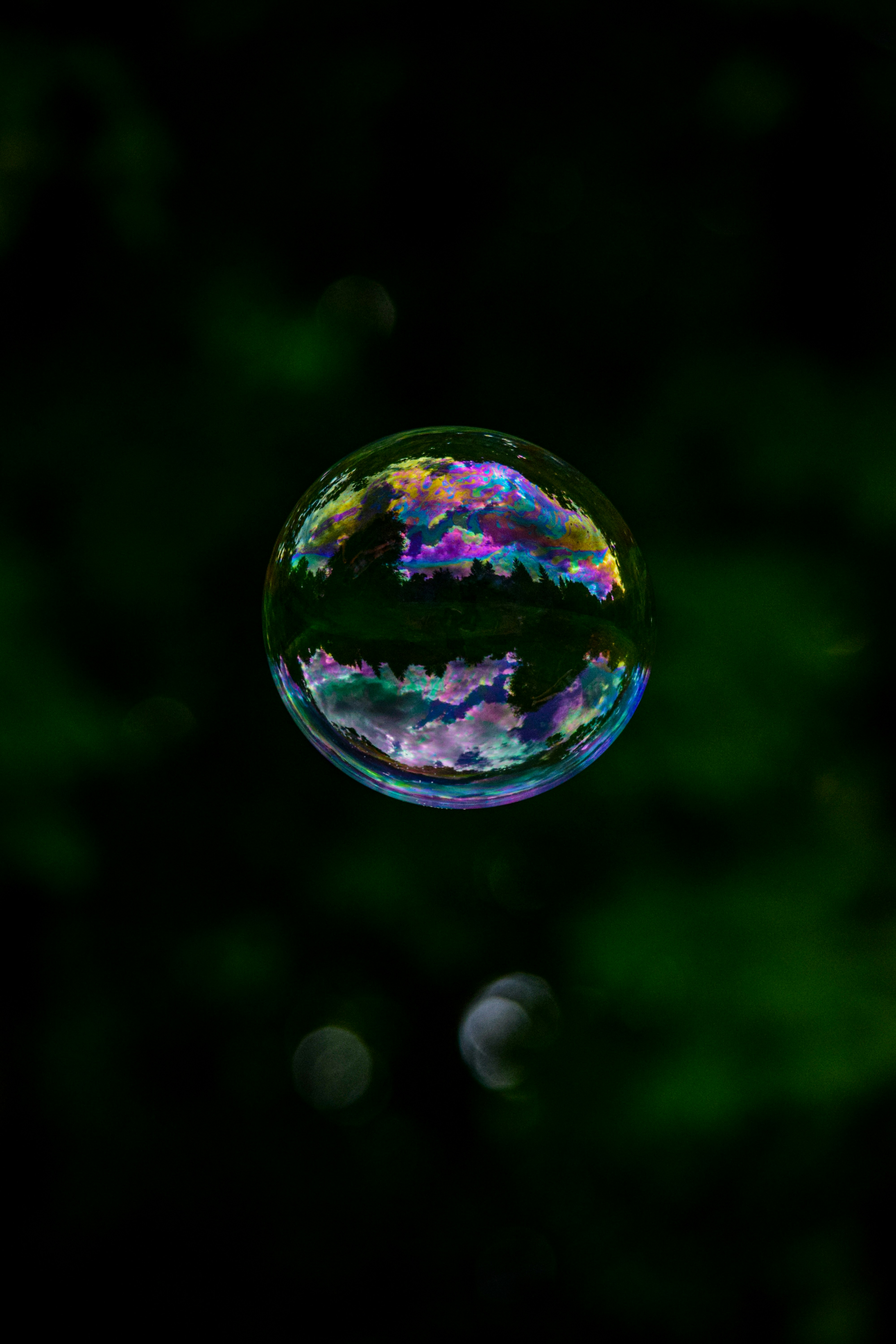 Photo by anna_flowers