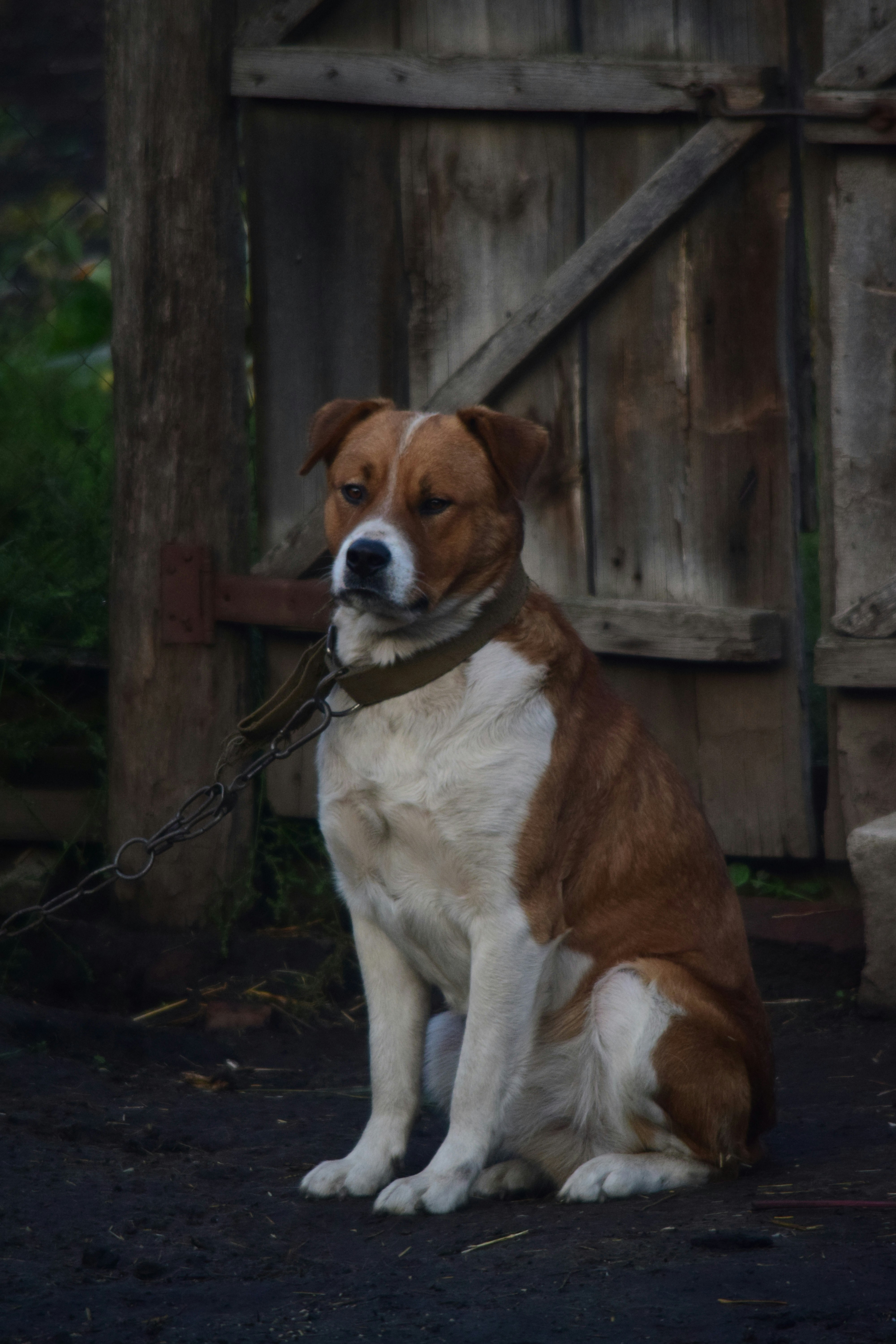 Photo by anna_flowers