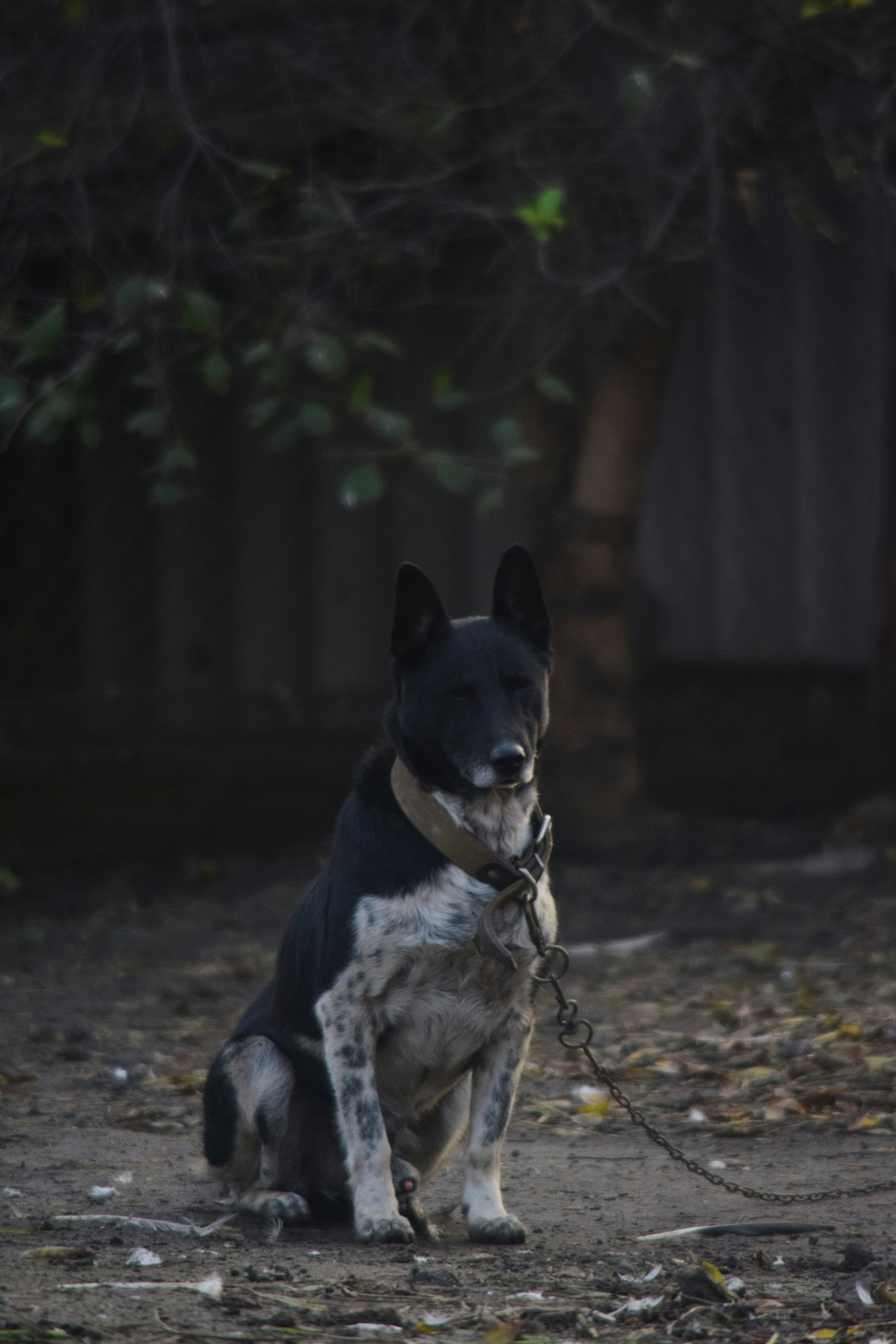 Photo by anna_flowers