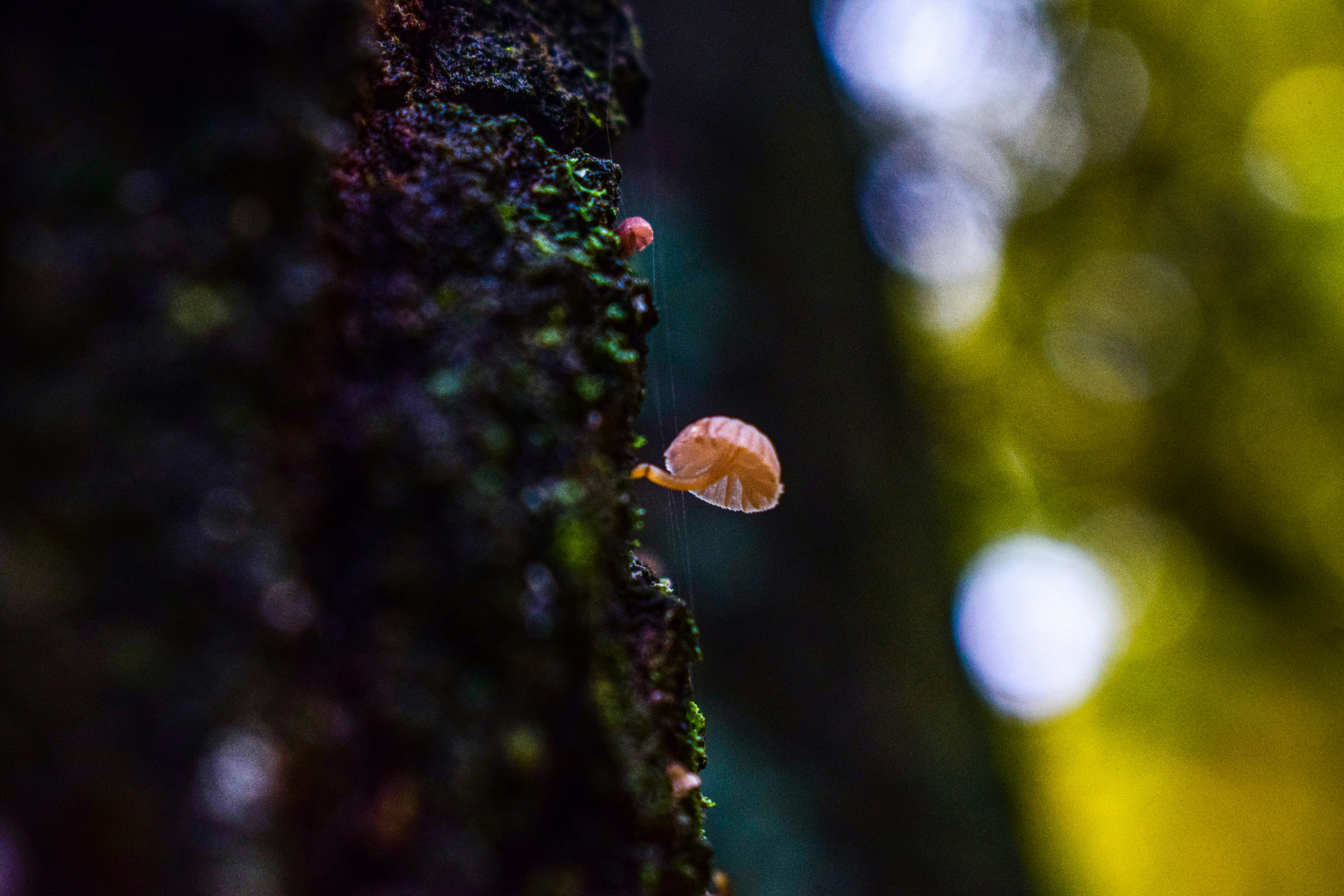 Photo by anna_flowers