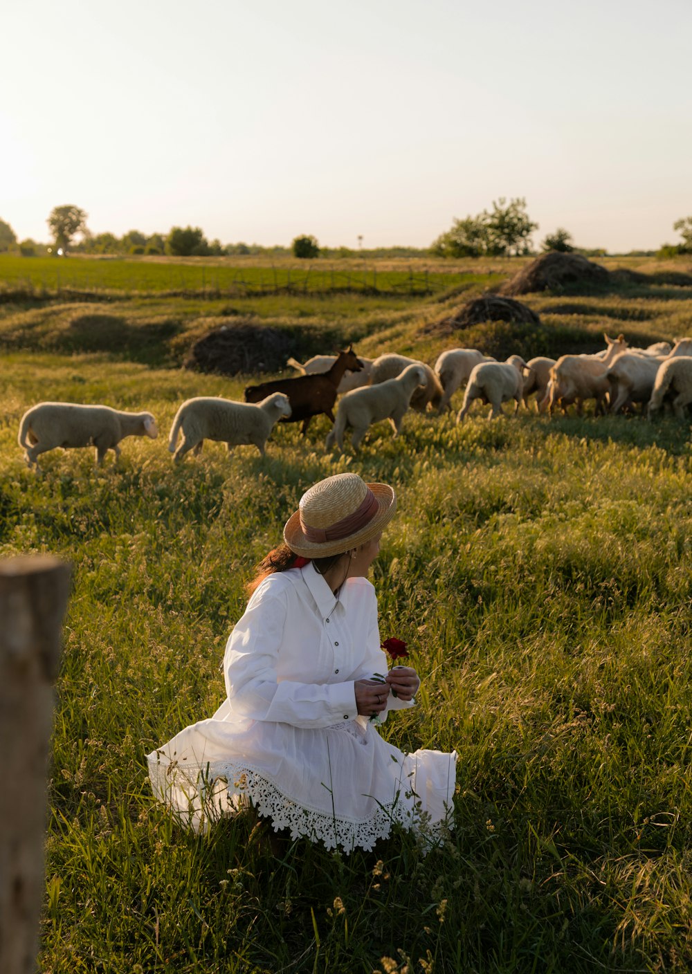 uma mulher sentada em um campo com um rebanho de ovelhas