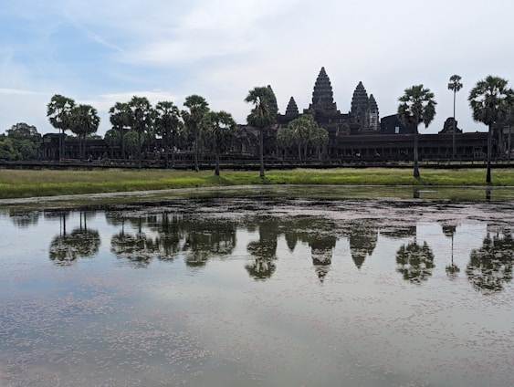 A large, ancient stone temple is partially obscured by tall palm trees. The structure features distinctive towers and intricate stonework. In front of the temple lies a calm body of water, reflecting both the trees and the temple, creating a mirror-like image. The sky is partly cloudy, and the landscape appears serene and majestic.