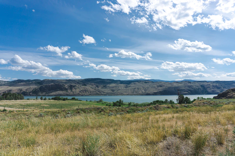 Grassland and water under a blue sky near Batchelor Heights, Kamloops BC