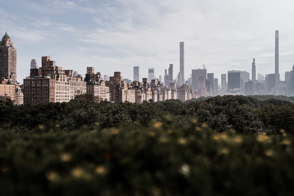 a view of a city skyline from a distance