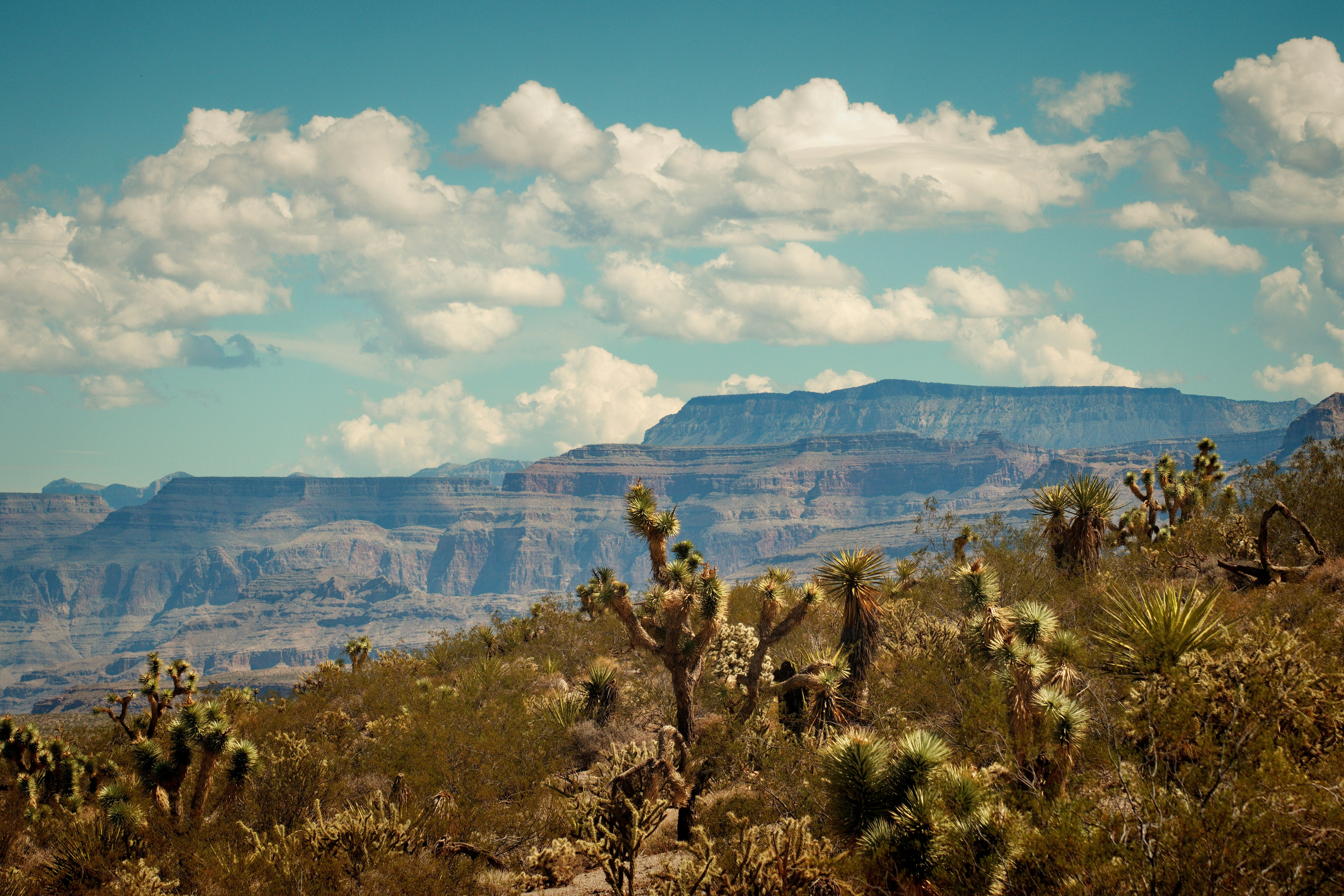 Photo by michael_yantis