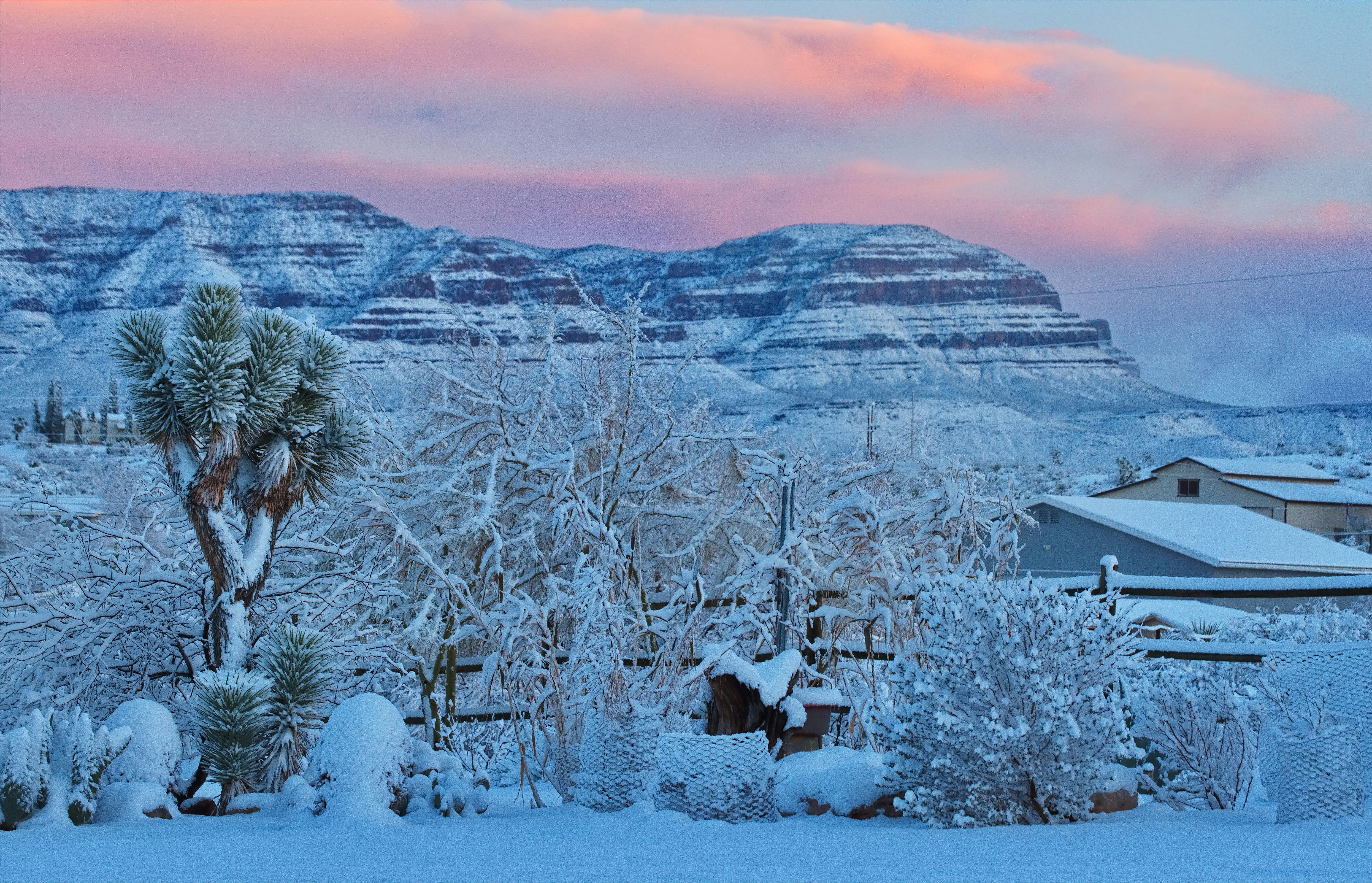 Photo by michael_yantis