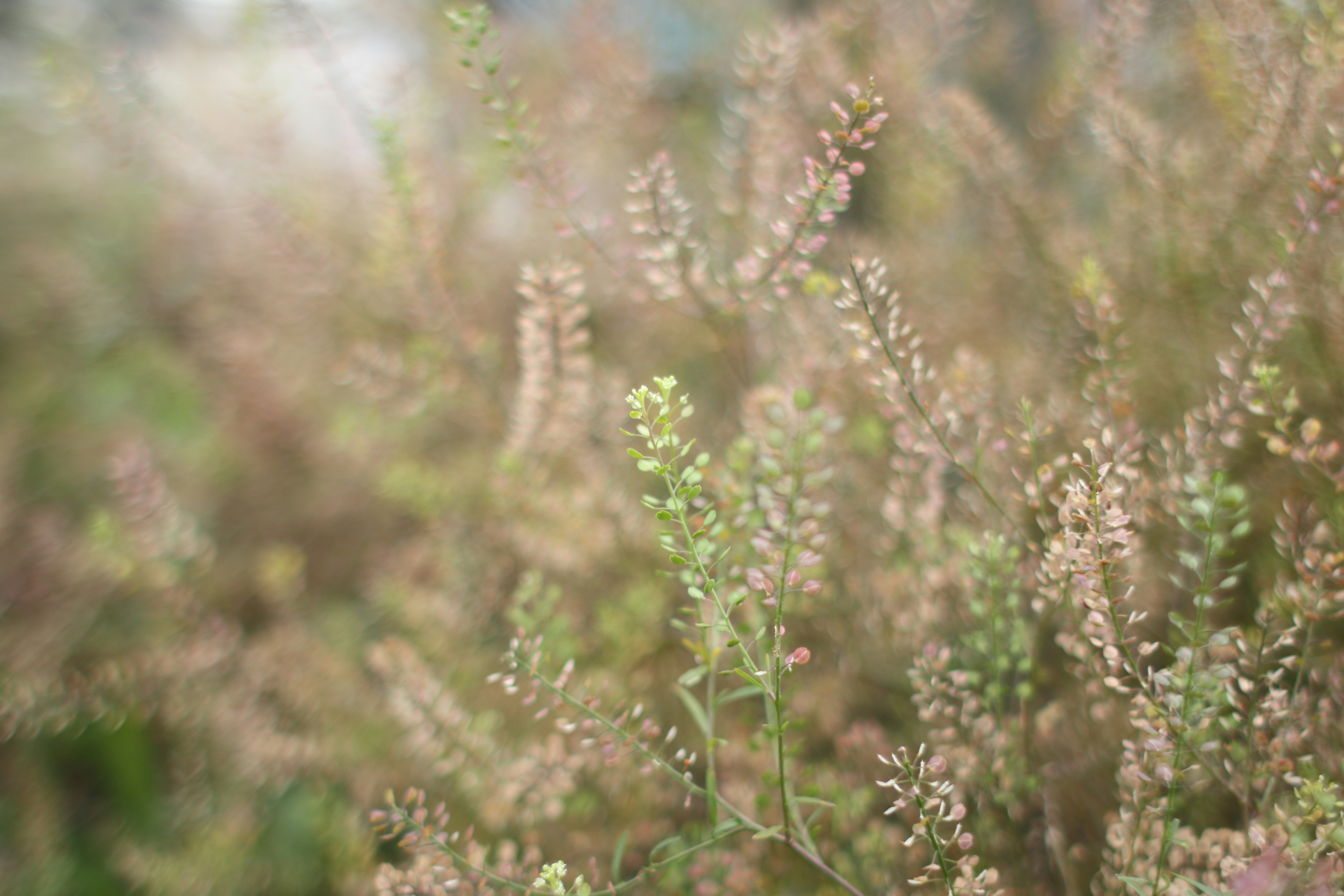 Photo by takatsuchida