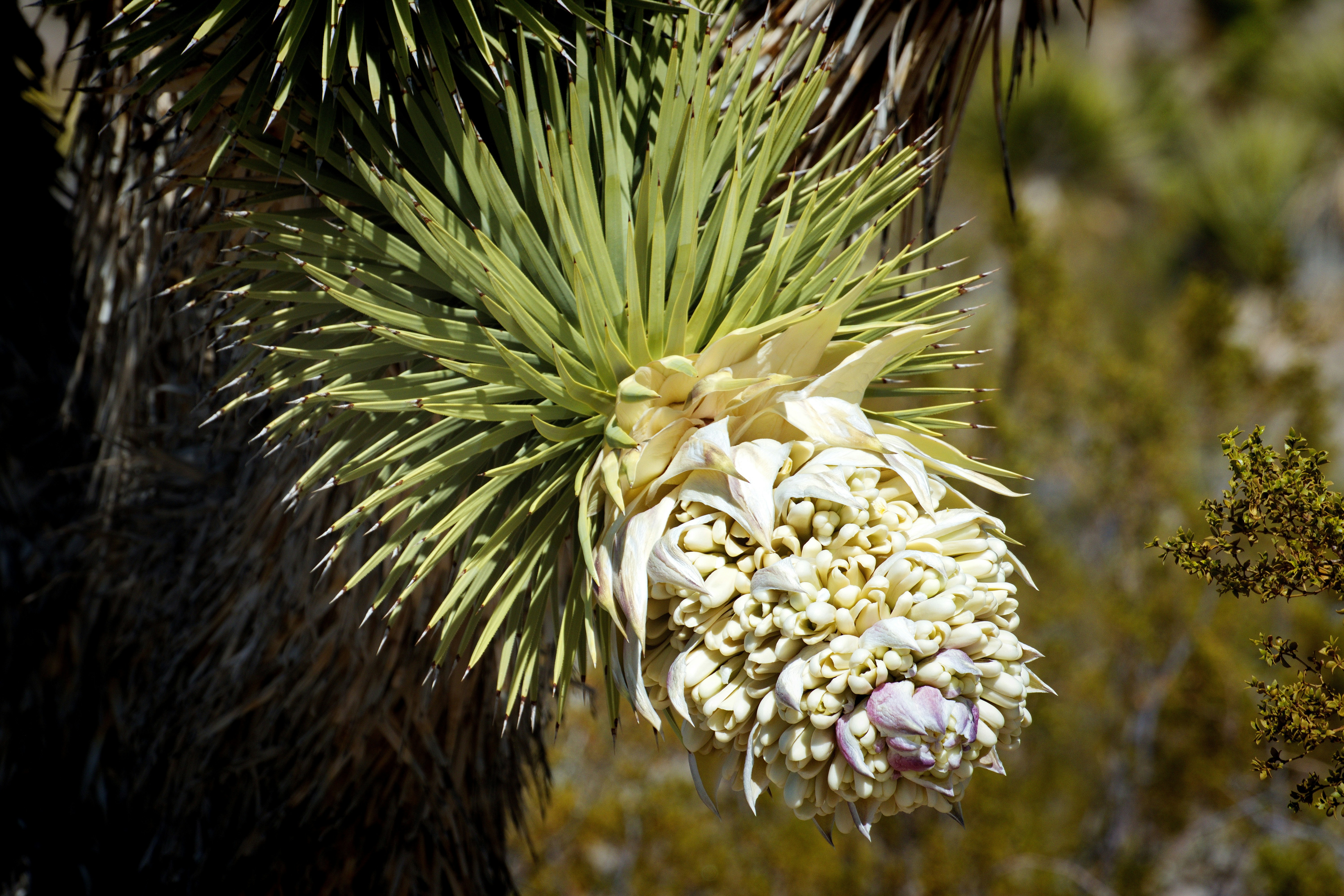 Photo by michael_yantis