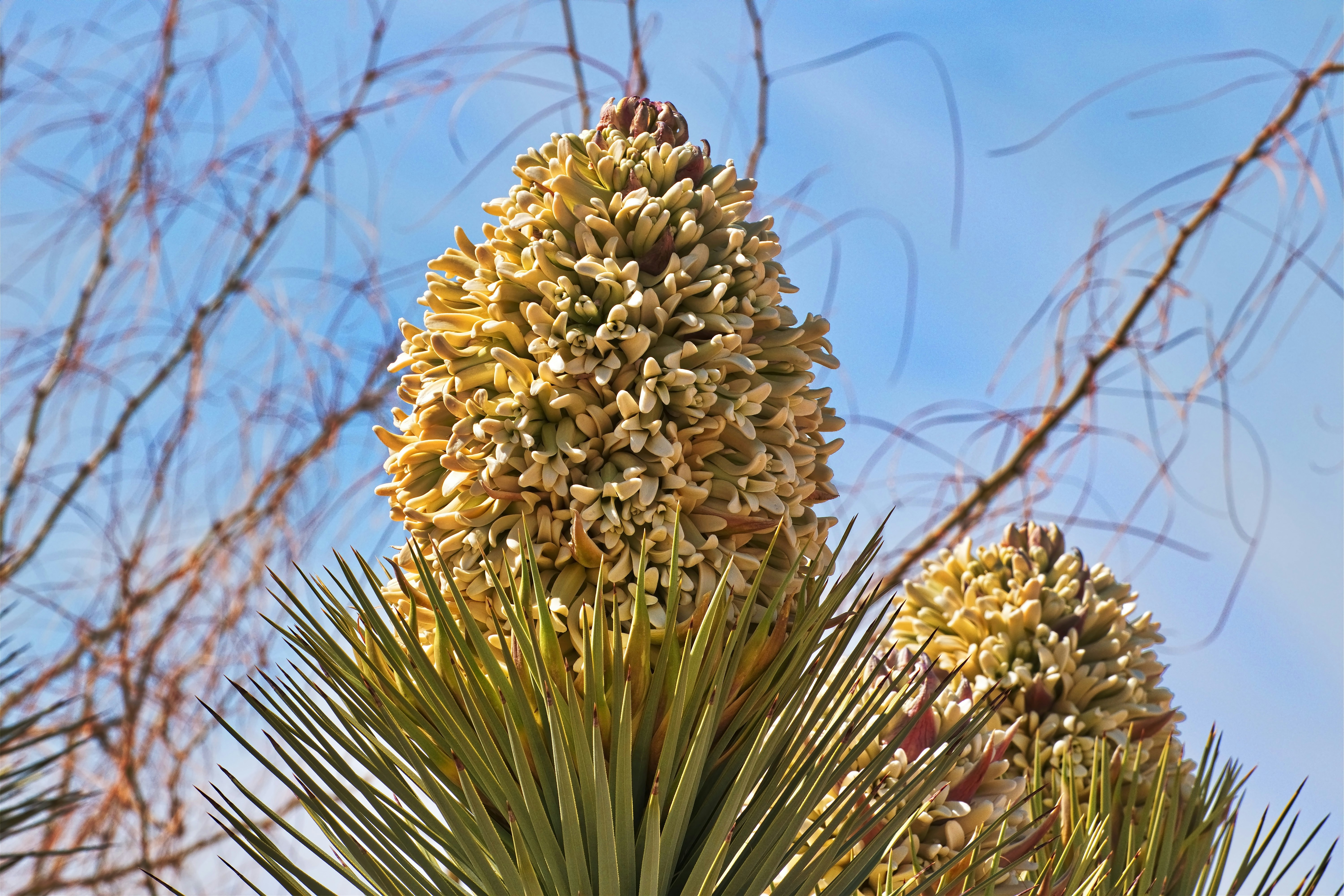 Photo by michael_yantis