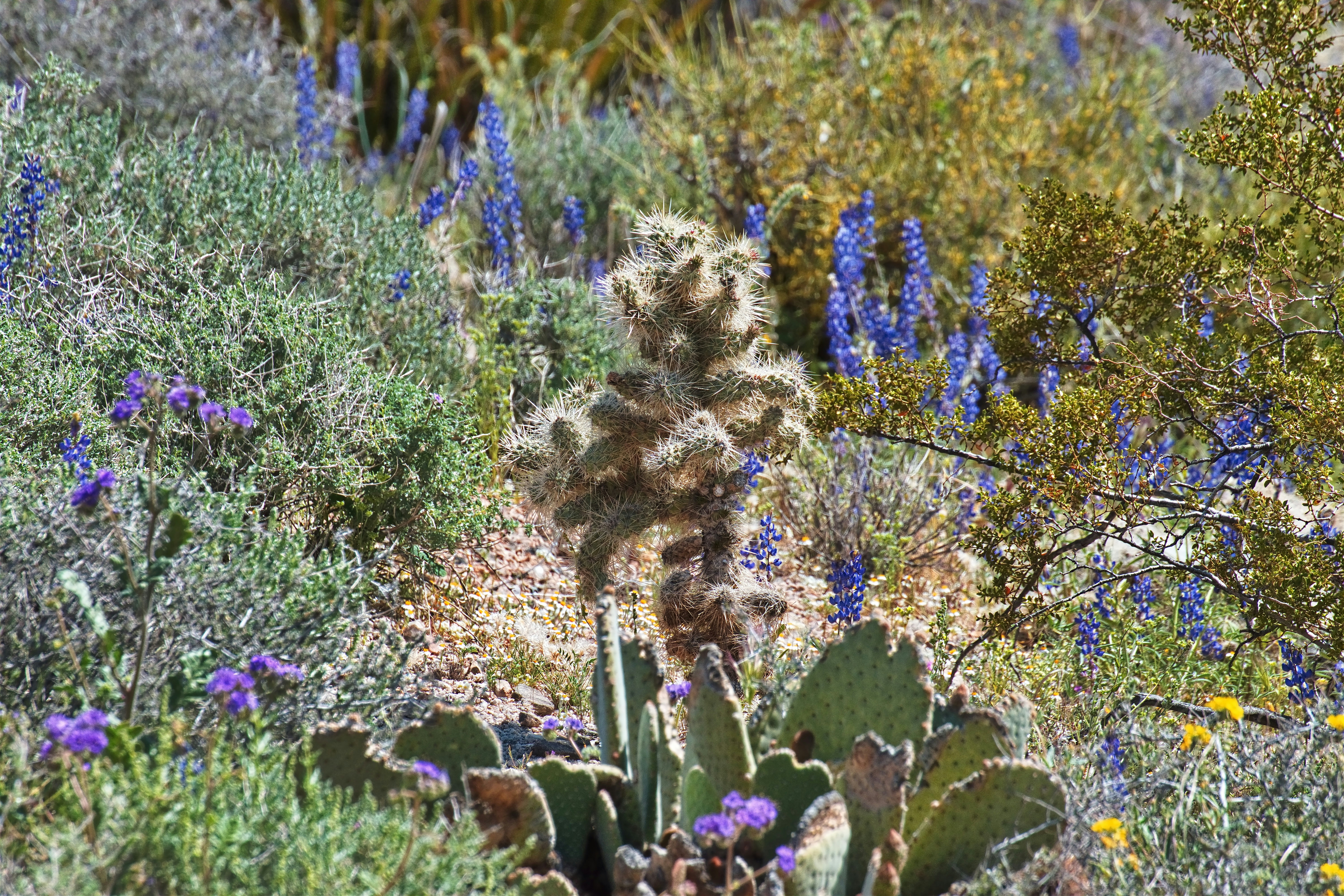 Photo by michael_yantis