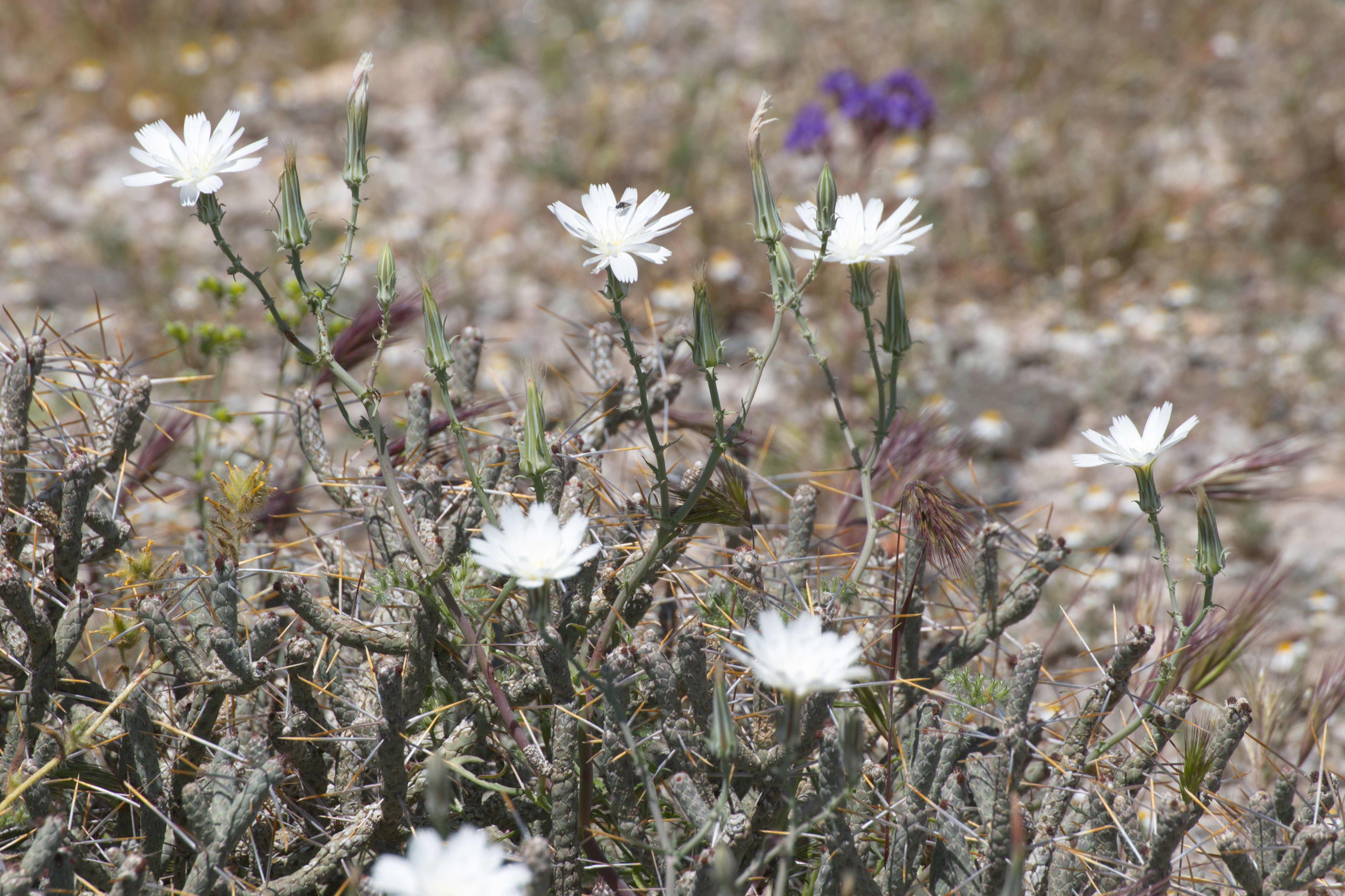 Photo by michael_yantis