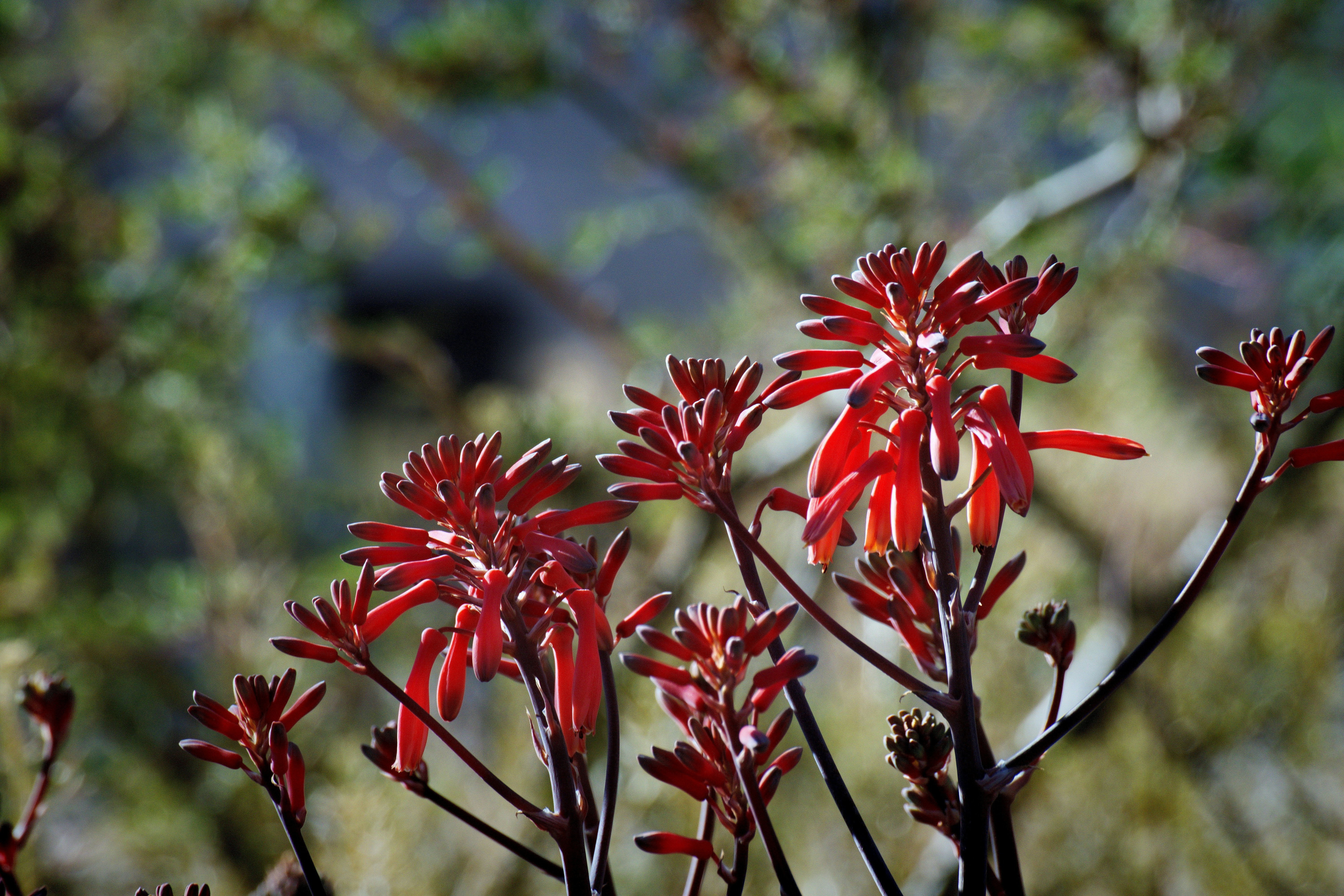 Photo by michael_yantis