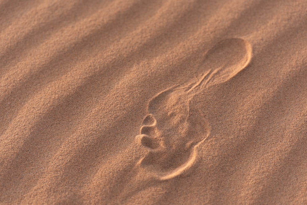 a foot print in the sand on a beach