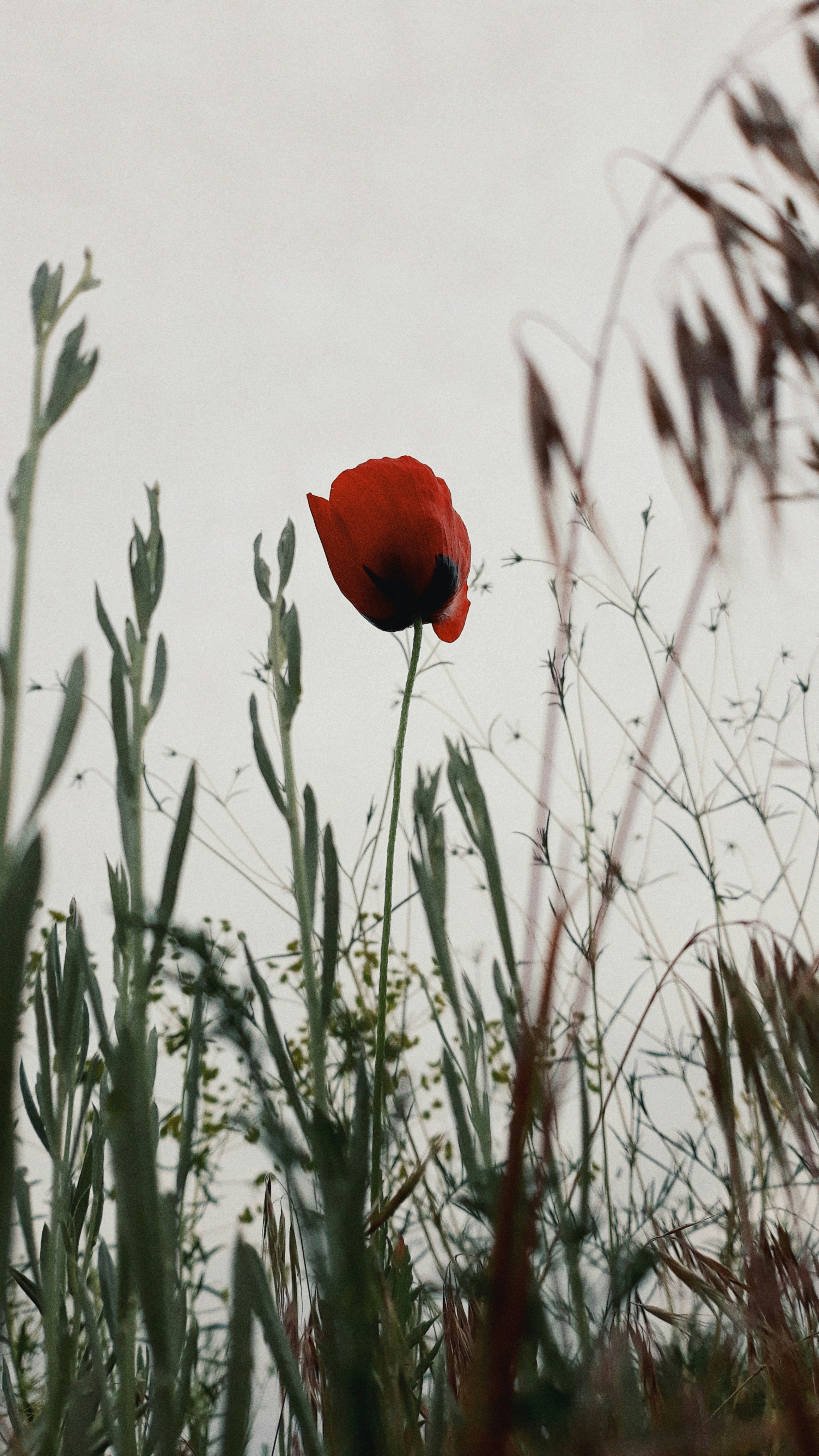 Photo by aliisarvari