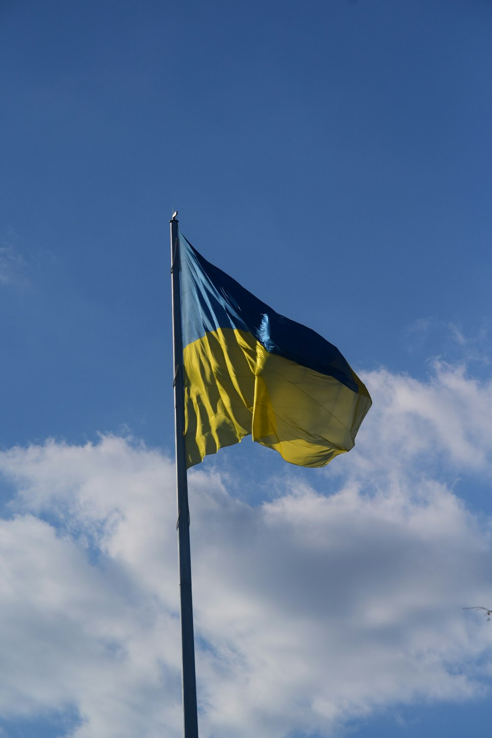 a blue and yellow flag flying in the sky