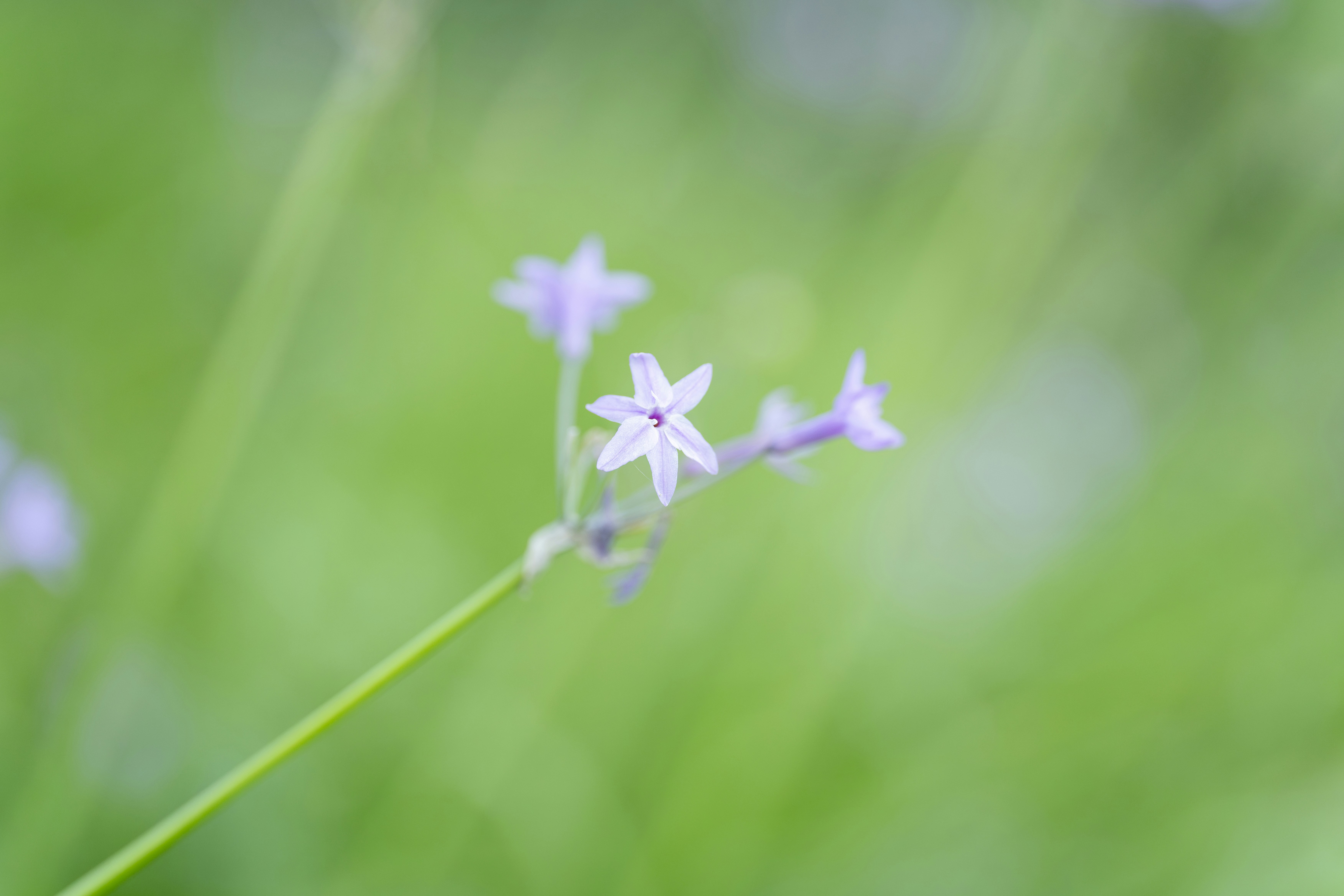 Photo by yooho962464