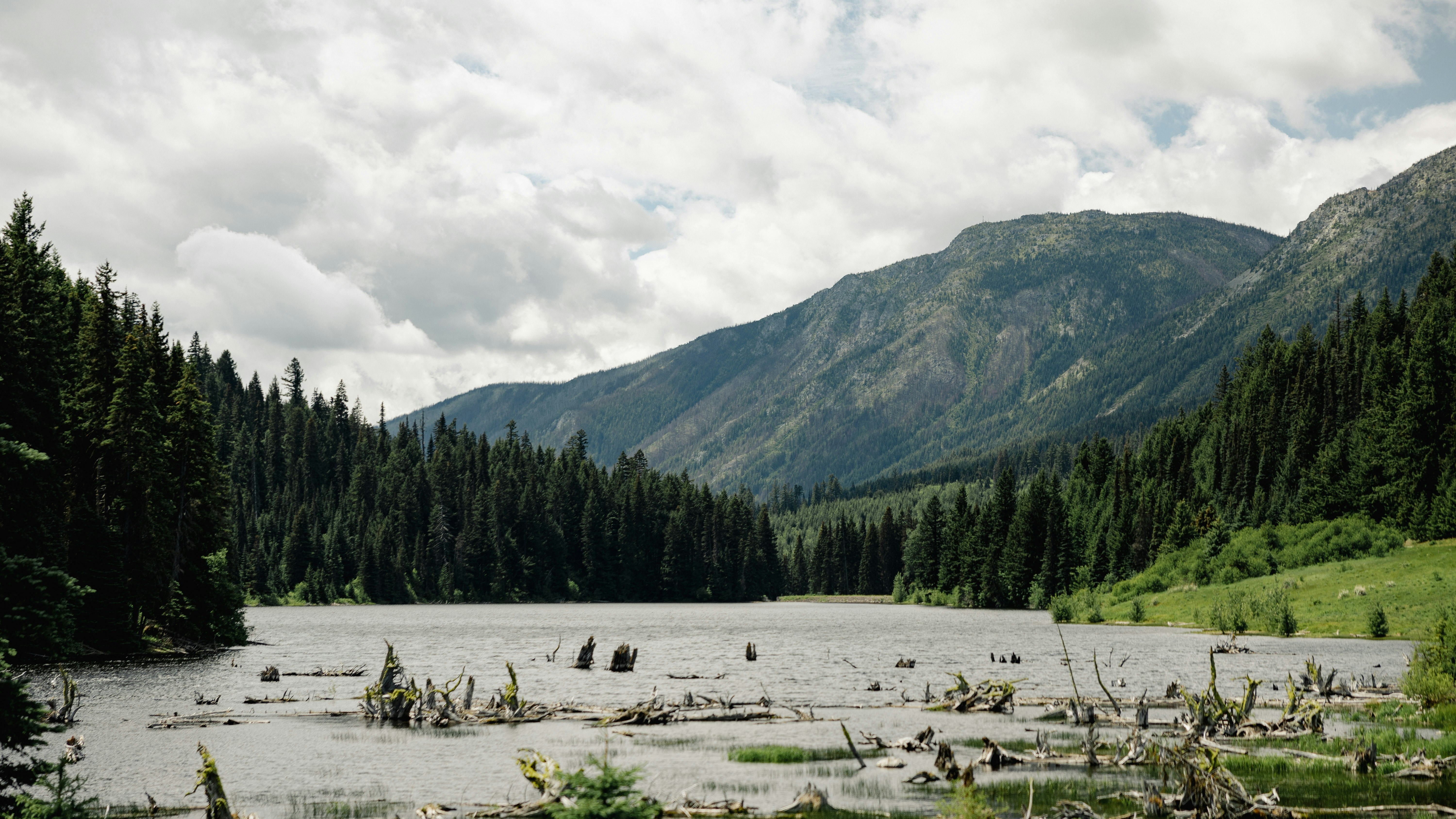 Photo by time_freeze