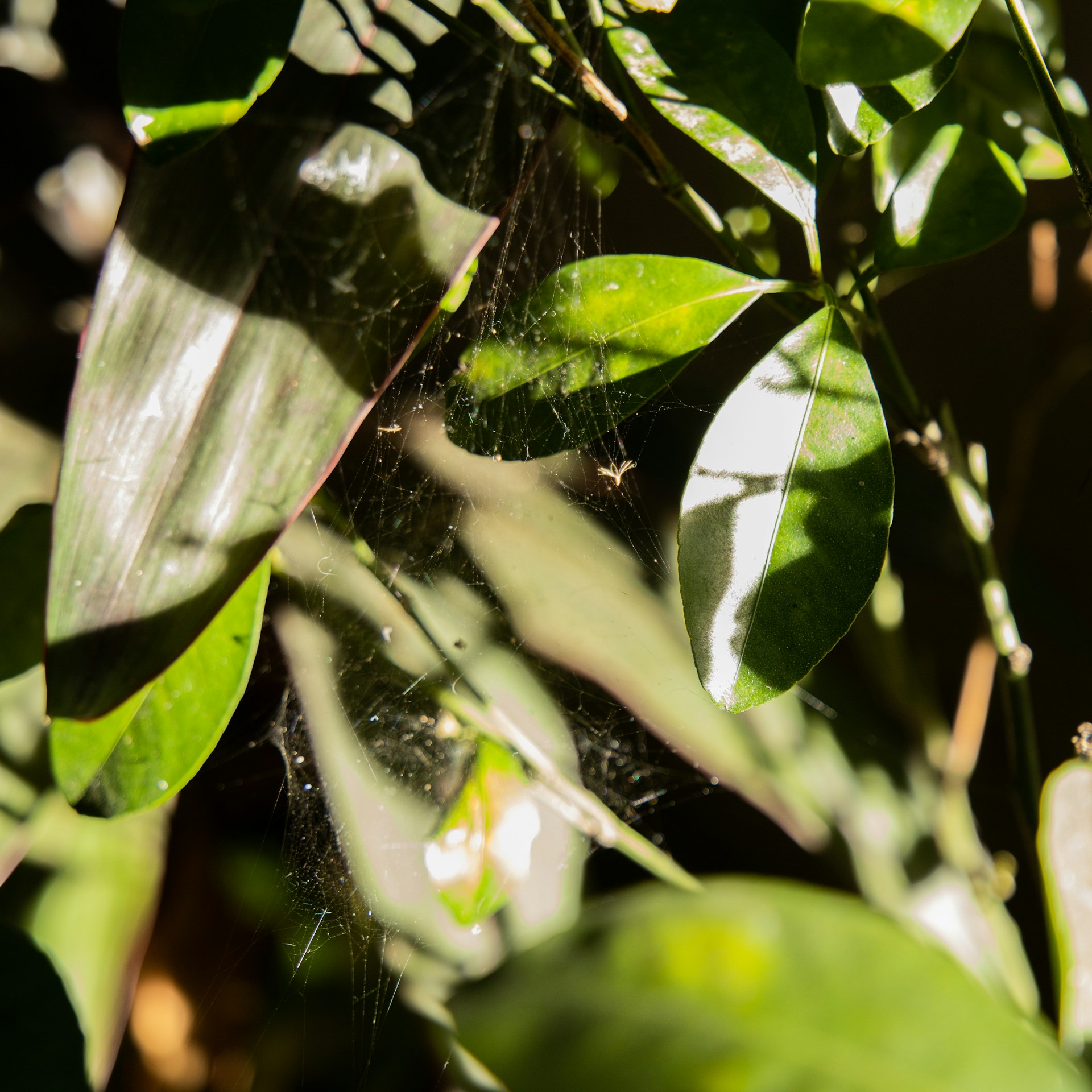 woman wearing yellow long-sleeved dress under white clouds and blue sky during daytime
