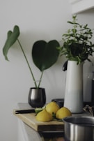 A kitchen countertop styled with a bowl of fresh lemons and a small herb garden in mason jars.