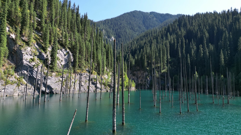 a body of water surrounded by trees and mountains