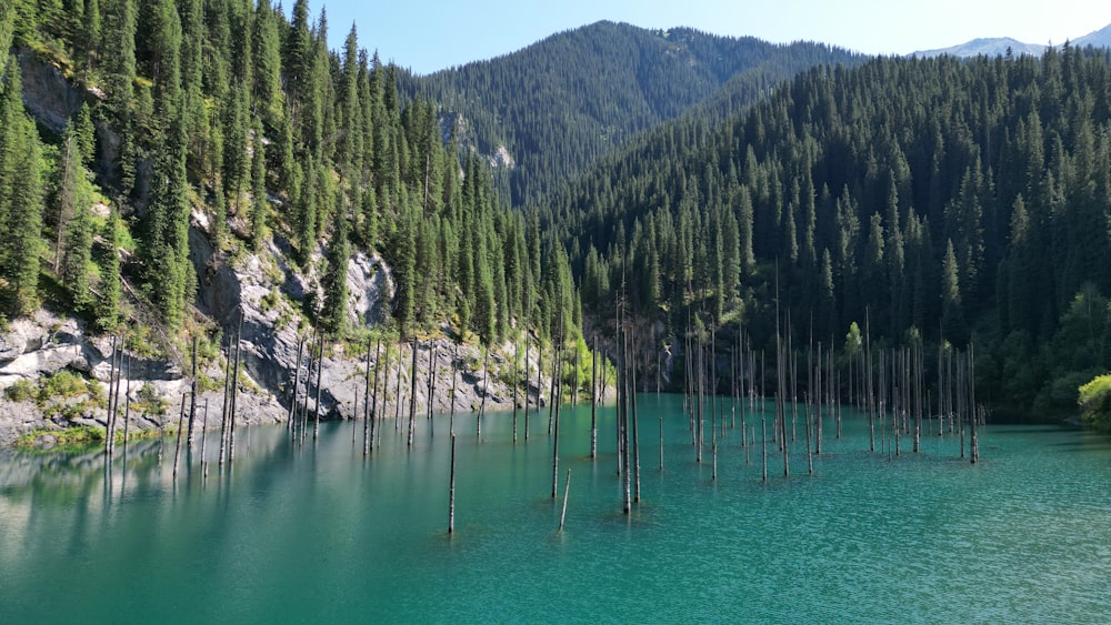 a body of water surrounded by trees and mountains