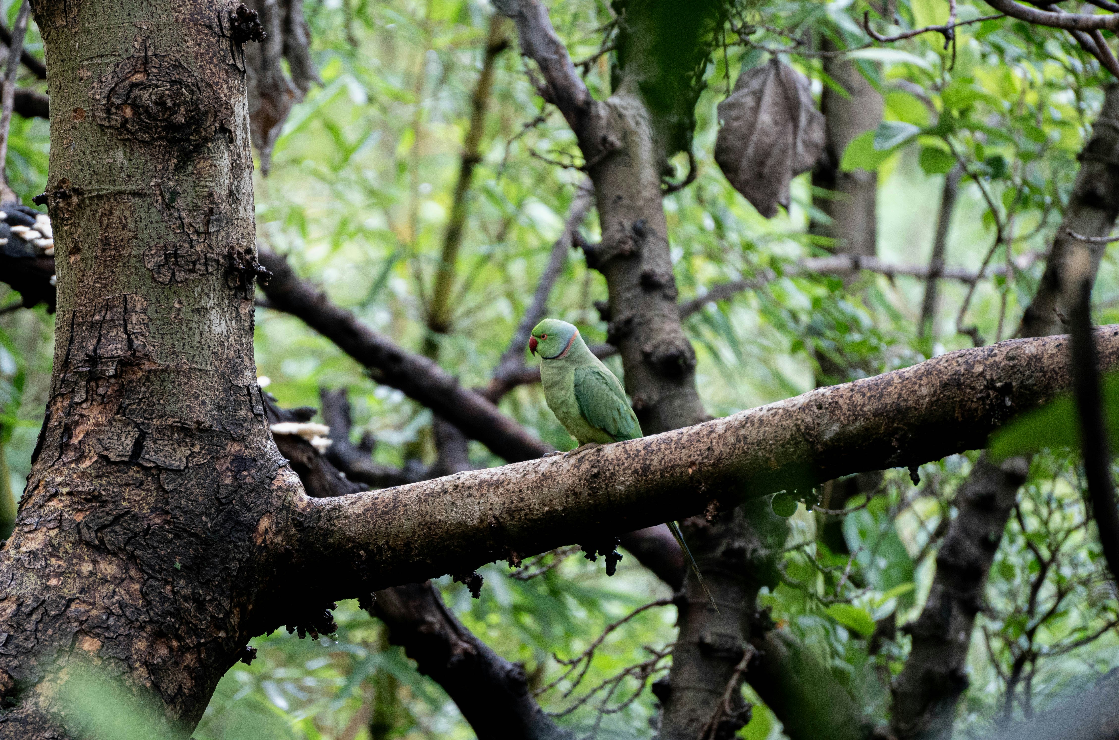 Photo by roadsidepagal