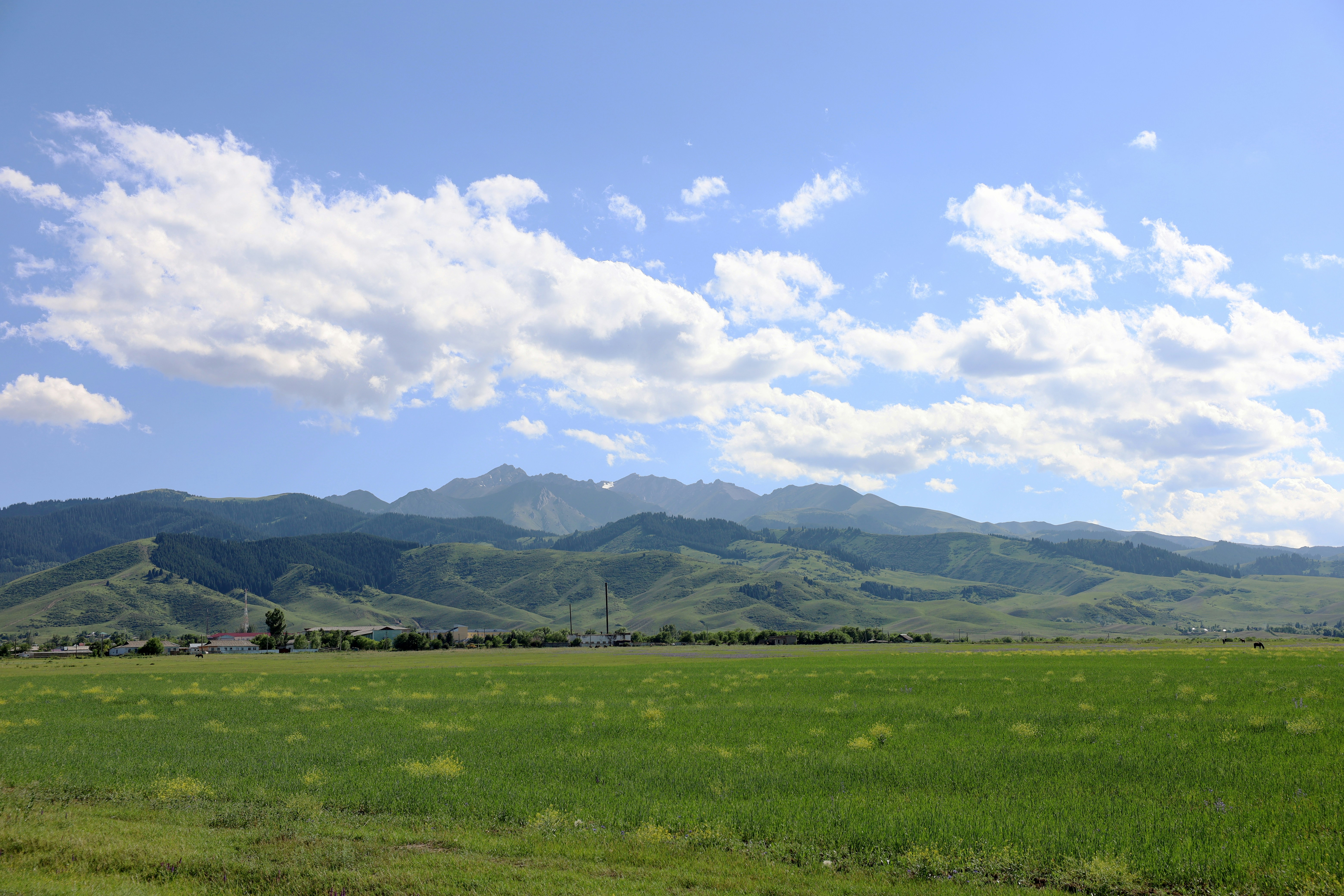 Photo by airstorm_an